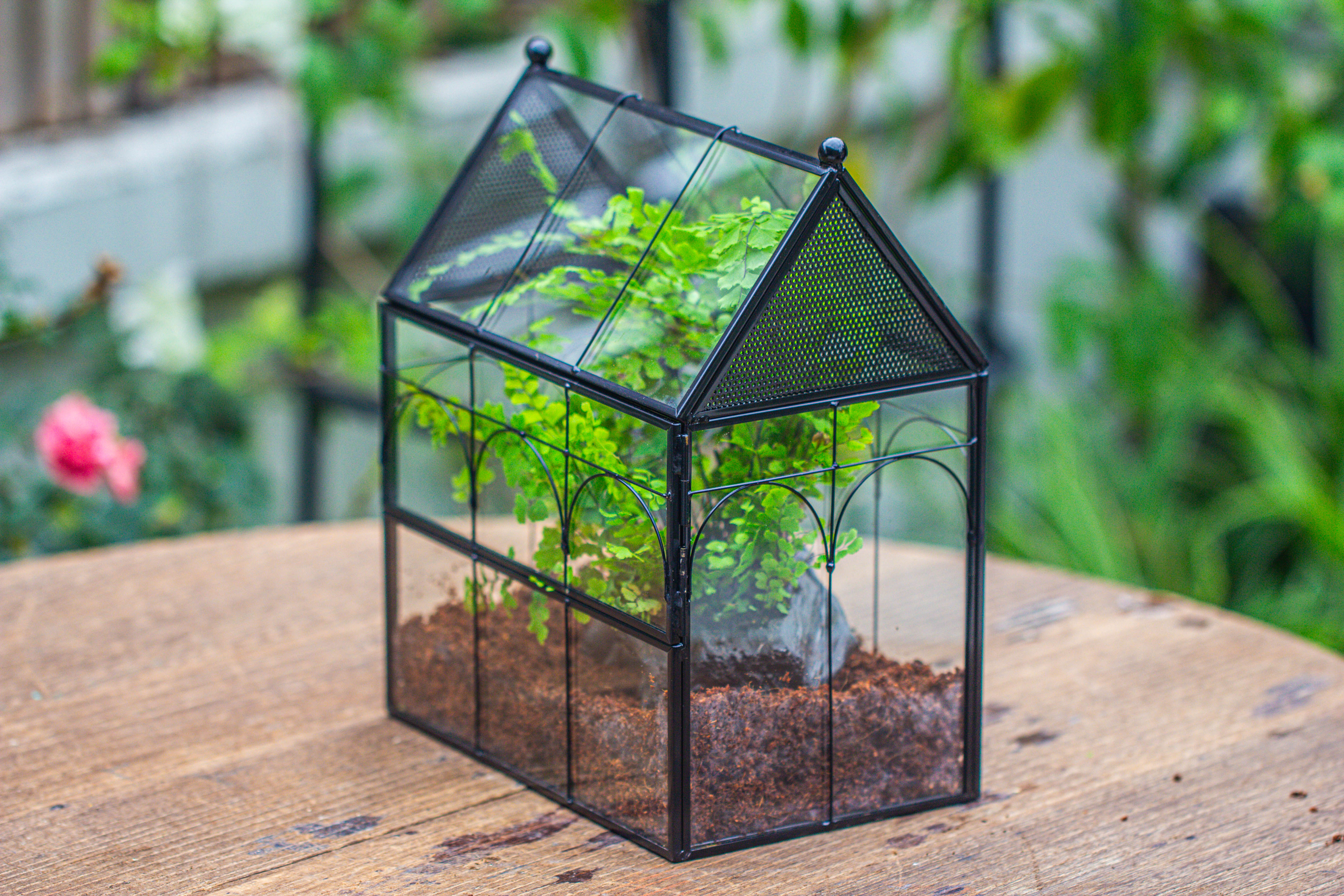 NCYP Vintage House Shape Tin and Glass Geometric Terrarium, with side door, with Mesh / vent holes for small Insects Pet building set - NCYPgarden