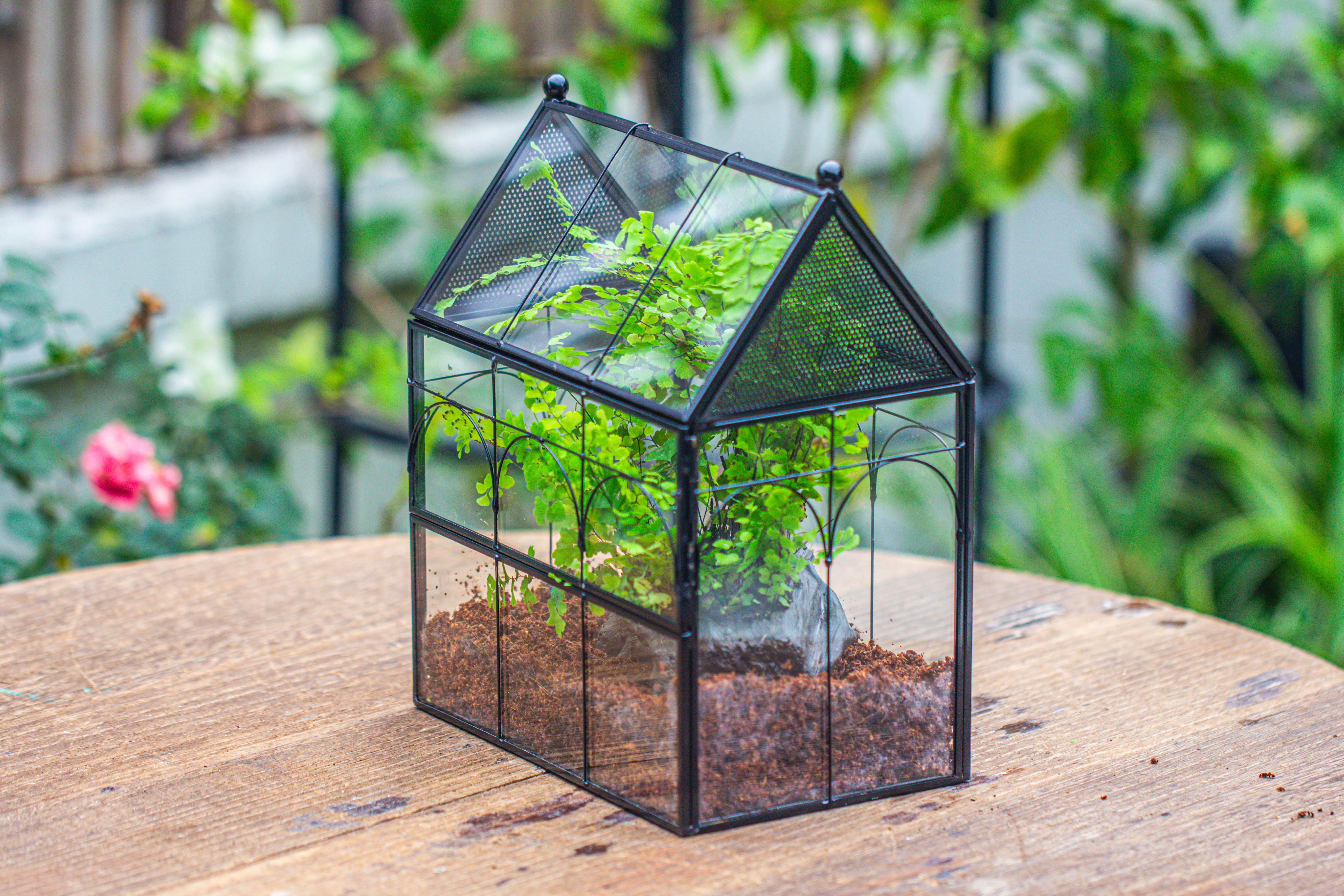 NCYP Vintage House Shape Tin and Glass Geometric Terrarium, with side door, with Mesh / vent holes for small Insects Pet building set - NCYPgarden