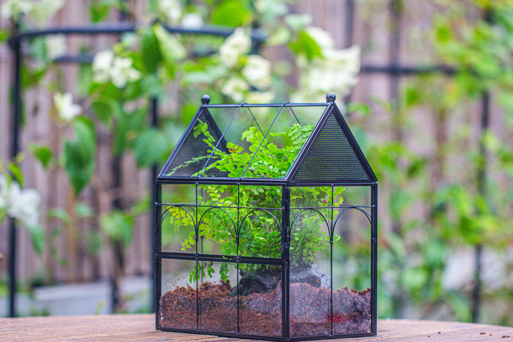 NCYP Vintage House Shape Tin and Glass Geometric Terrarium, with side door, with Mesh / vent holes for small Insects Pet building set - NCYPgarden
