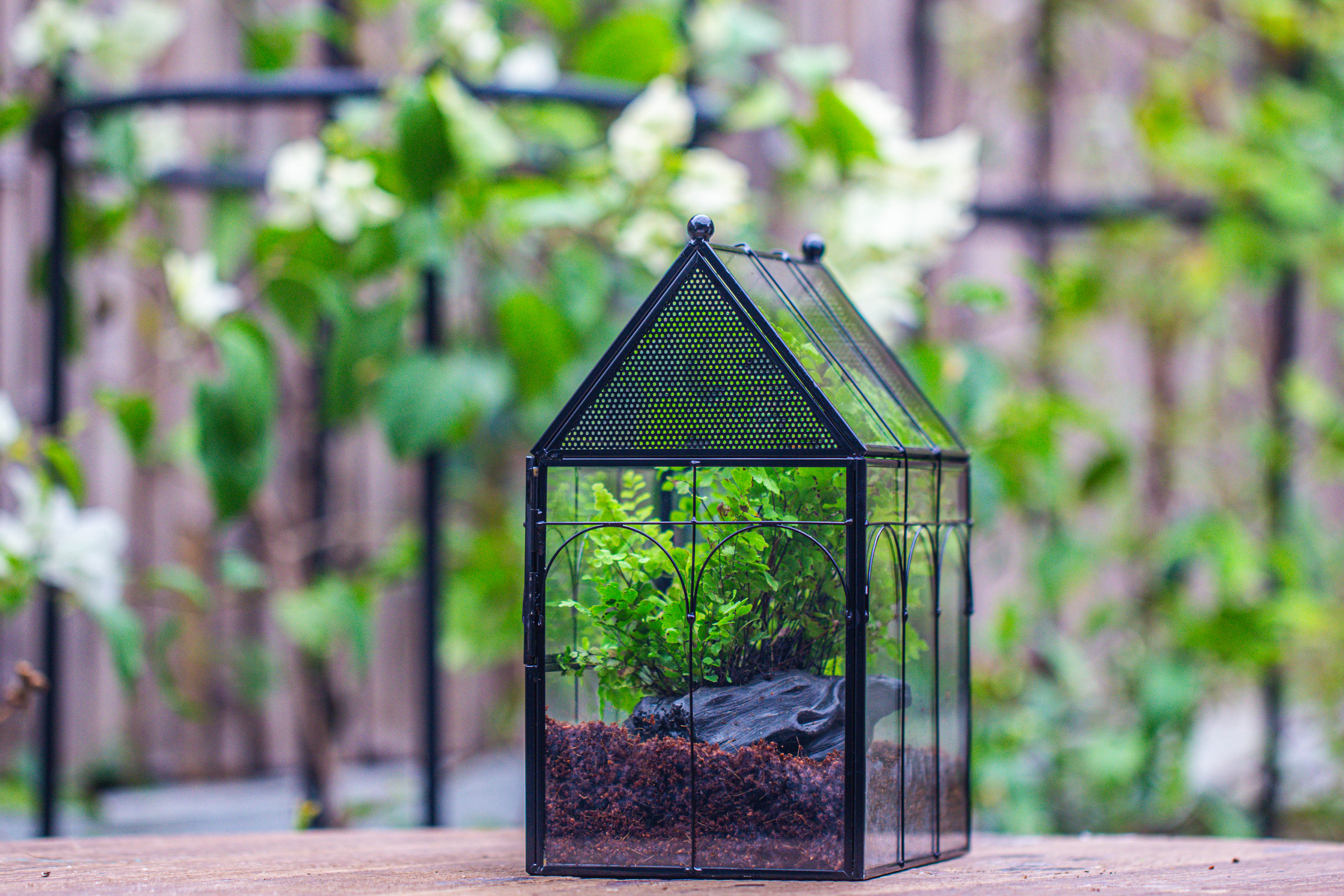 NCYP Vintage House Shape Tin and Glass Geometric Terrarium, with side door, with Mesh / vent holes for small Insects Pet building set - NCYPgarden