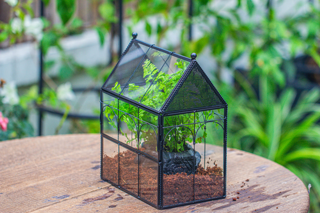 NCYP Twisted Wire Vintage House Shape Glass Geometric Terrarium Kit, DIY Set, suitable for small snails, spiders - NCYPgarden