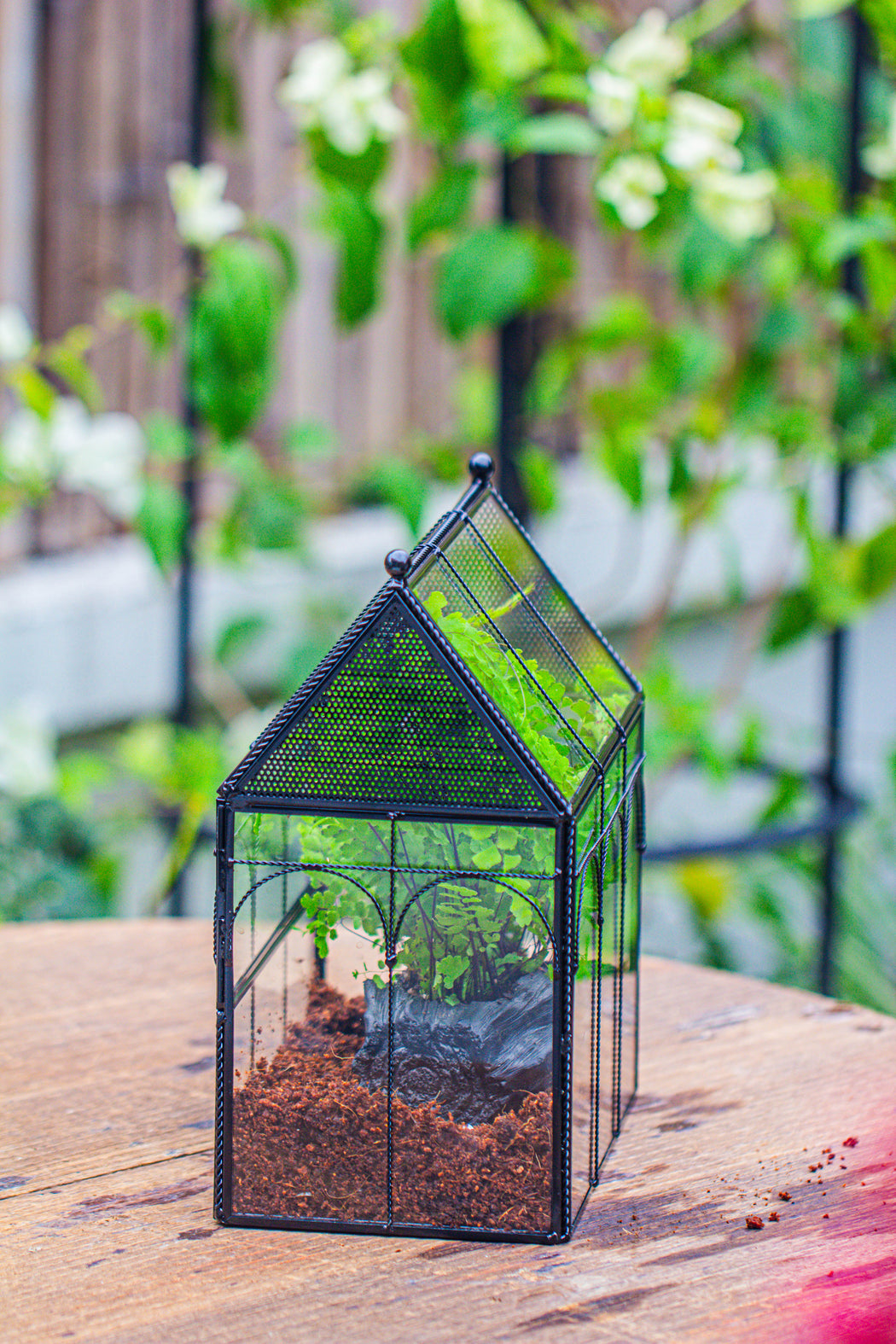 NCYP Twisted Wire Vintage House Shape Glass Geometric Terrarium Kit, DIY Set, suitable for small snails, spiders - NCYPgarden