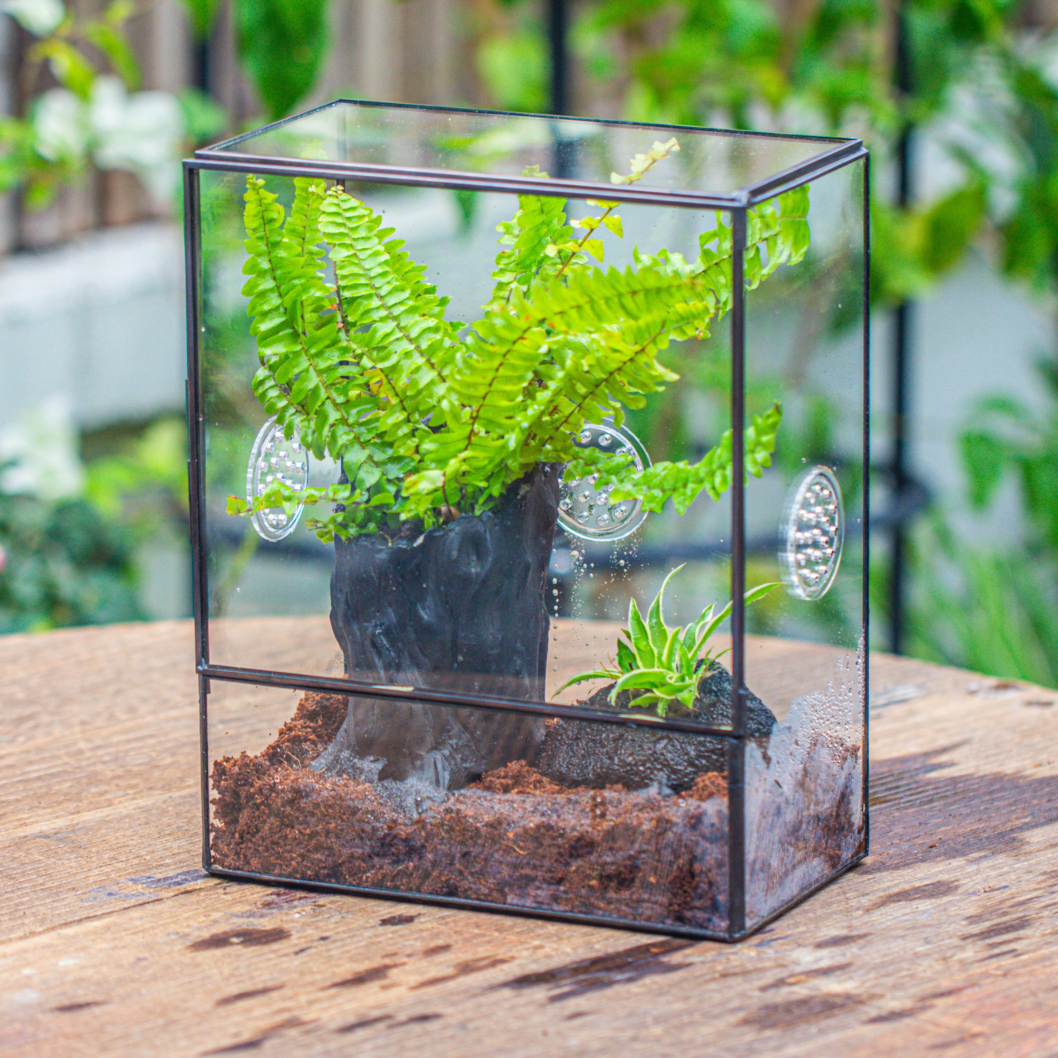 竖版长方形 三孔 大号 - NCYPgarden