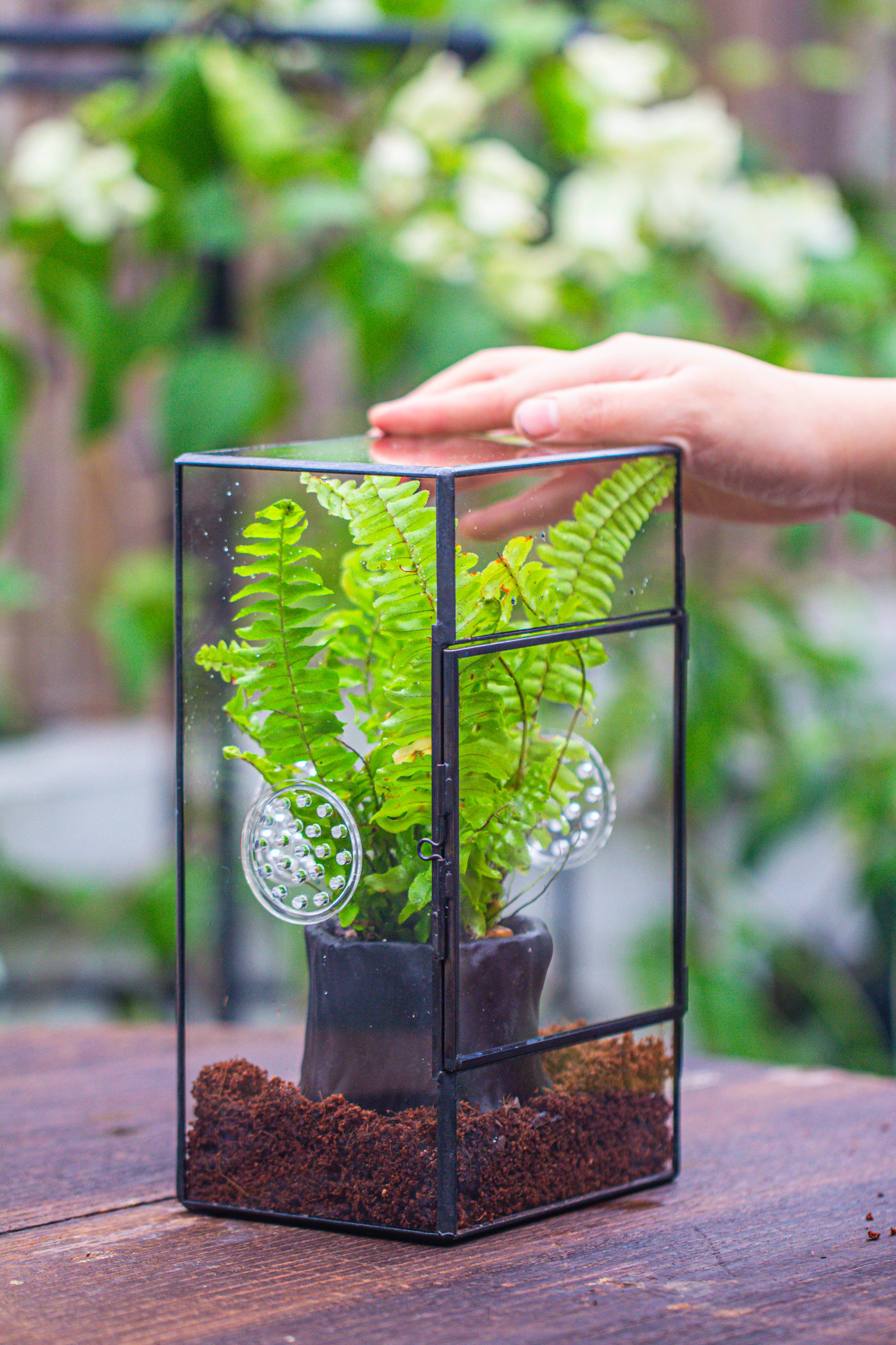 竖版长方形 三孔 小号 - NCYPgarden