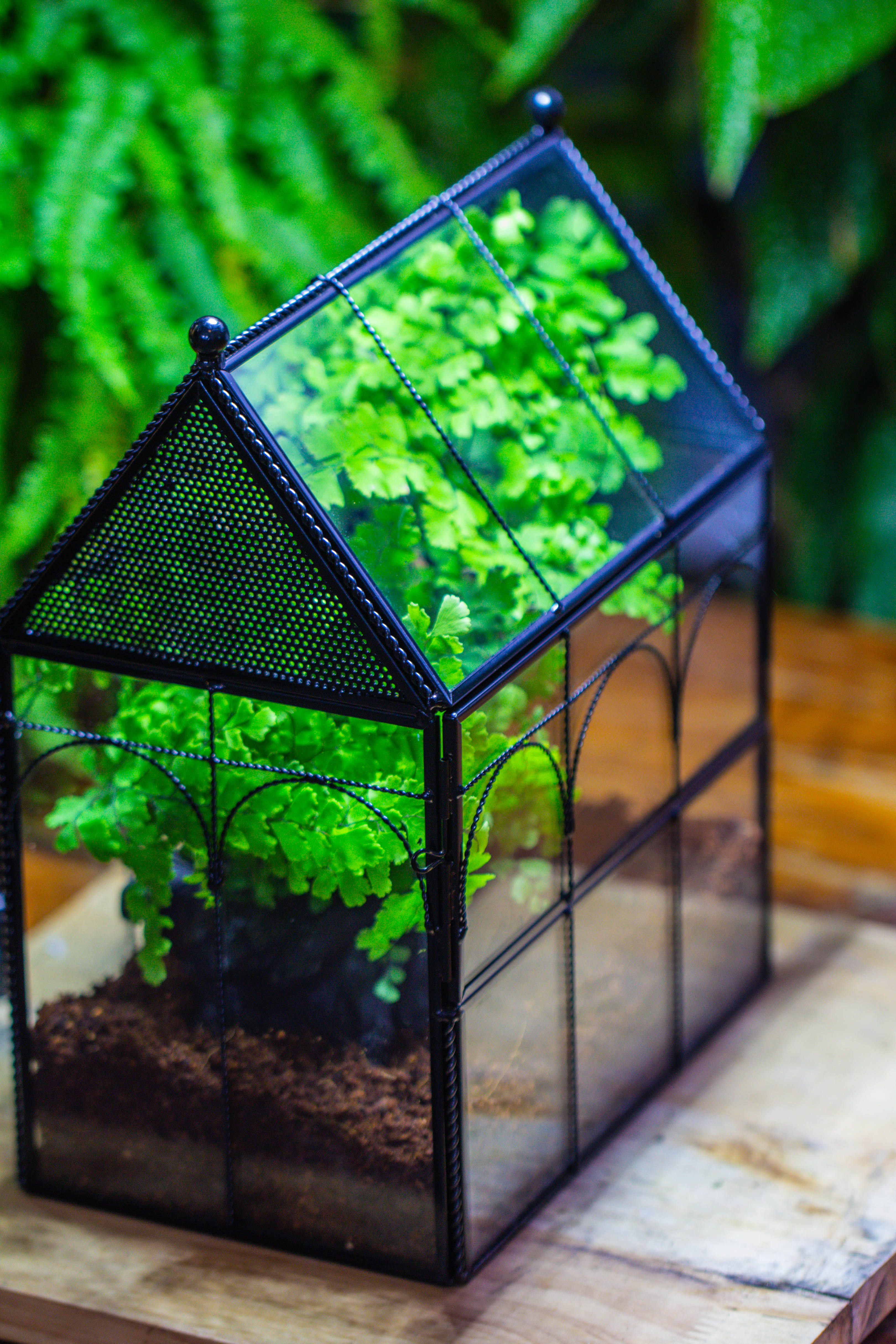 Handmade Twisted Wire House Shape Glass Geometric Terrarium with LED Light Set, Snail Jumping Spider Enclosure, Insect Container Set - NCYPgarden