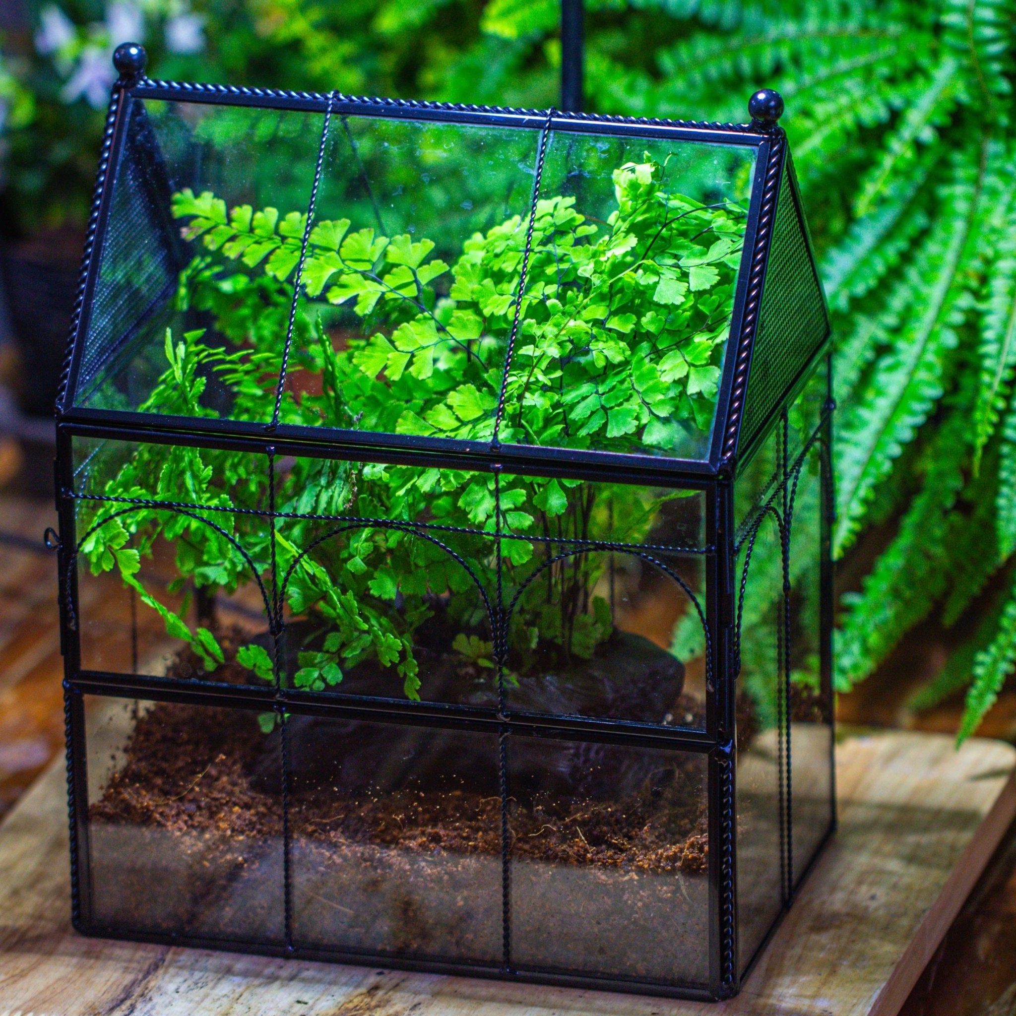 terrarium planter kit NCYP Twisted Wire Vintage House Shape Glass Geometric Terrarium Kit, DIY Set, suitable for small snails, spiders