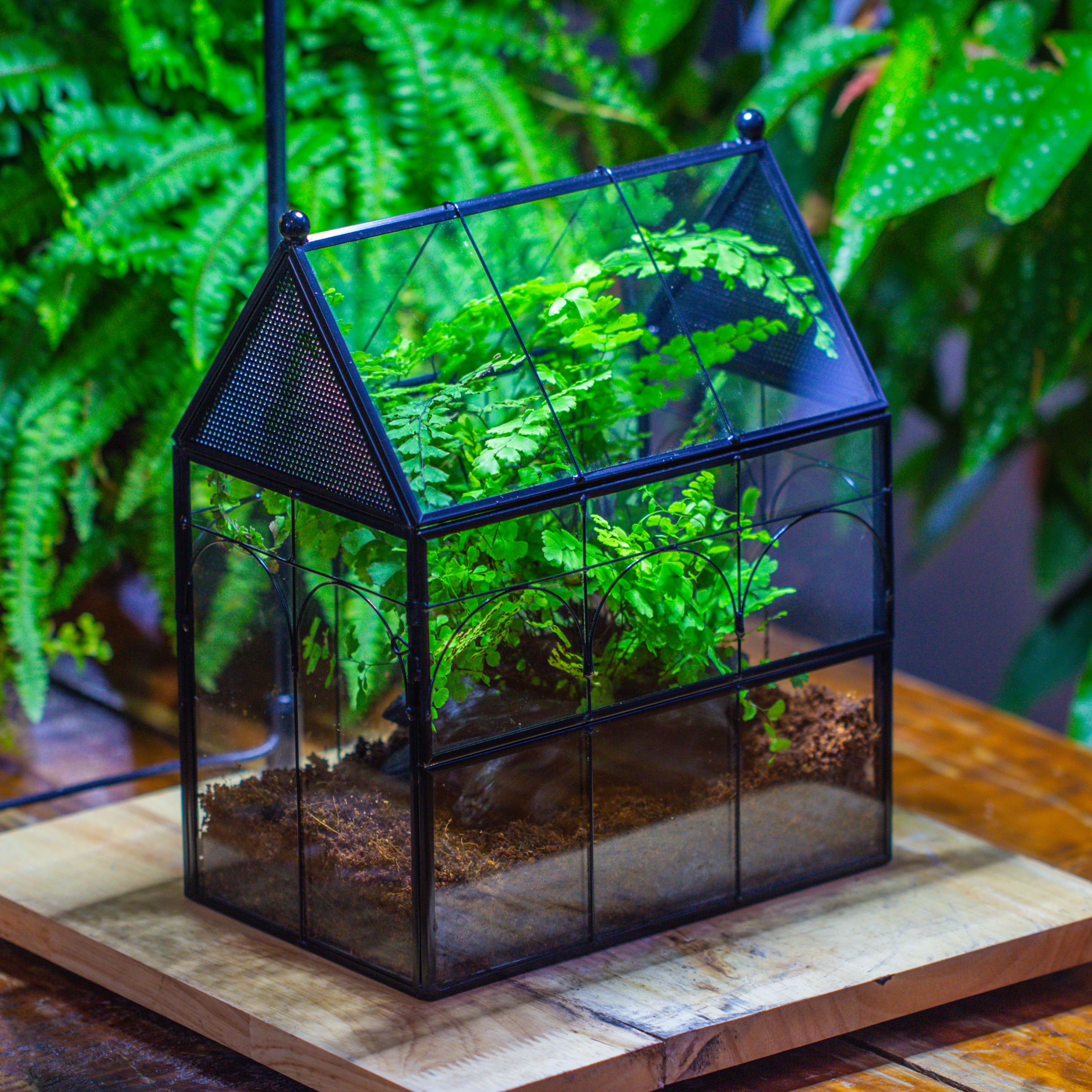 NCYP Vintage House Shape Tin and Glass Geometric Terrarium, with side door, with Mesh / vent holes for small Insects Pet building set - NCYPgarden