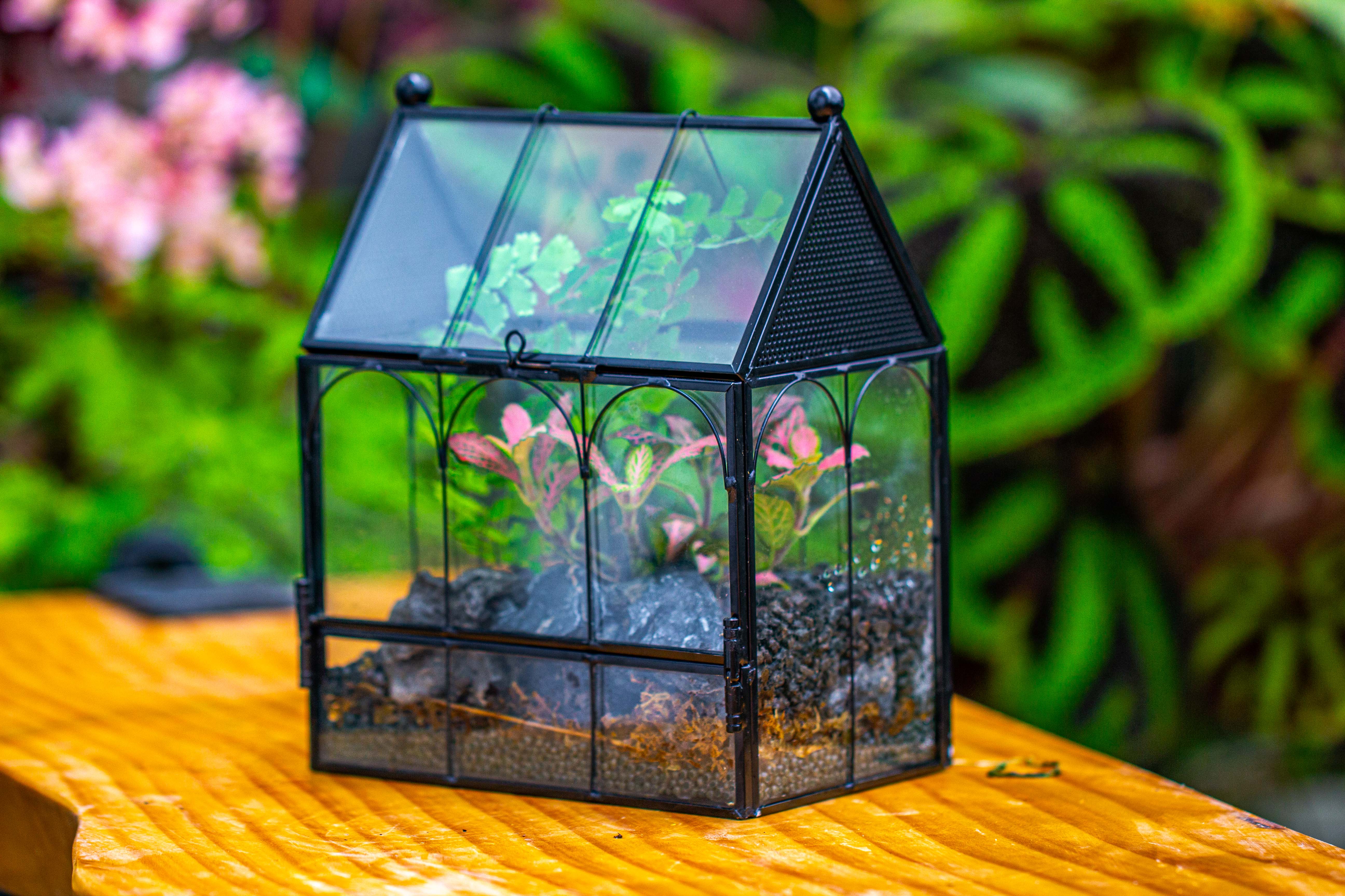 Vintage Mini House Shape Glass Geometric Terrarium for Jumping spider - NCYPgarden
