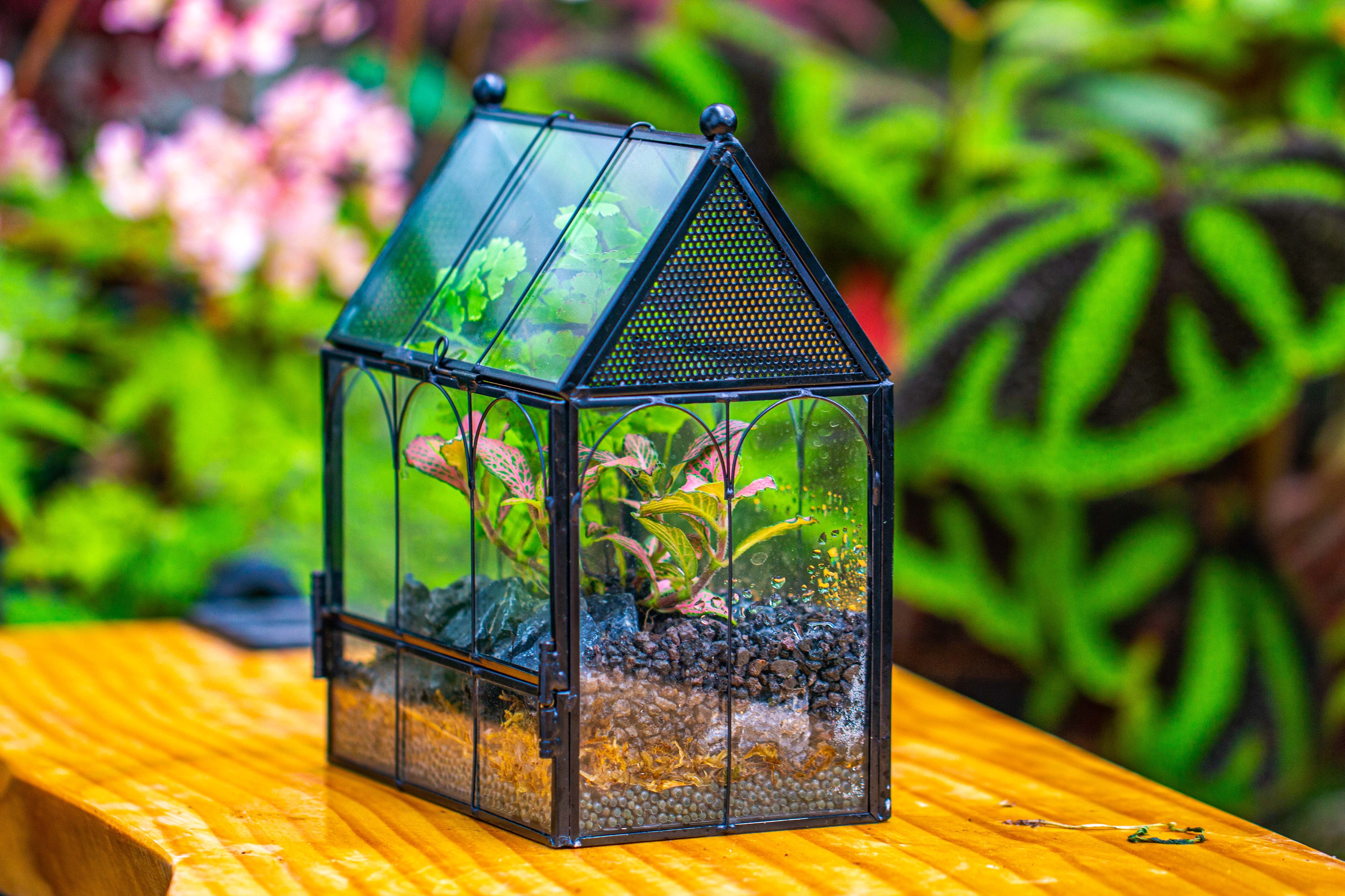 Vintage Mini House Shape Glass Geometric Terrarium for Jumping spider - NCYPgarden