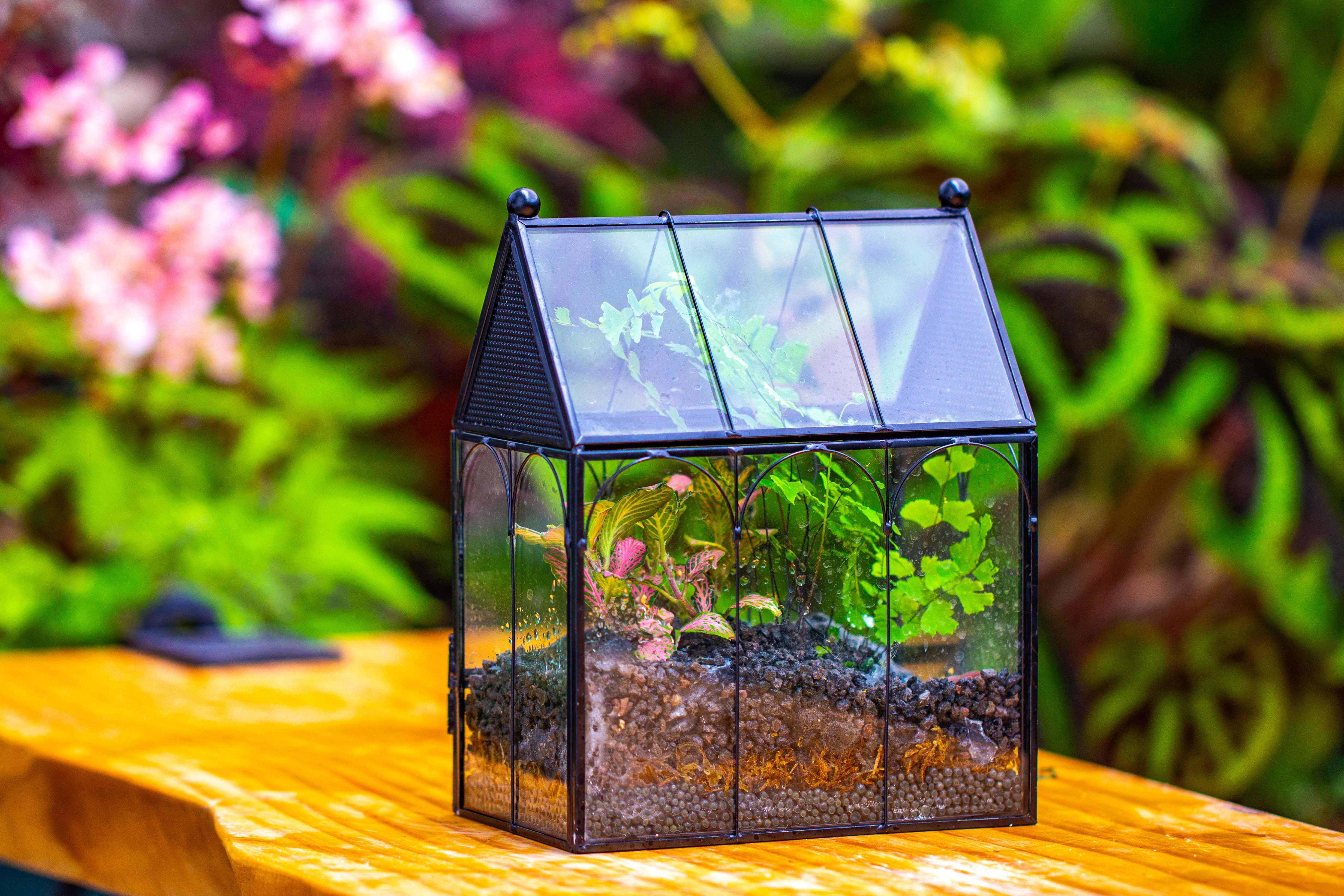 Vintage Mini House Shape Glass Geometric Terrarium for Jumping spider - NCYPgarden