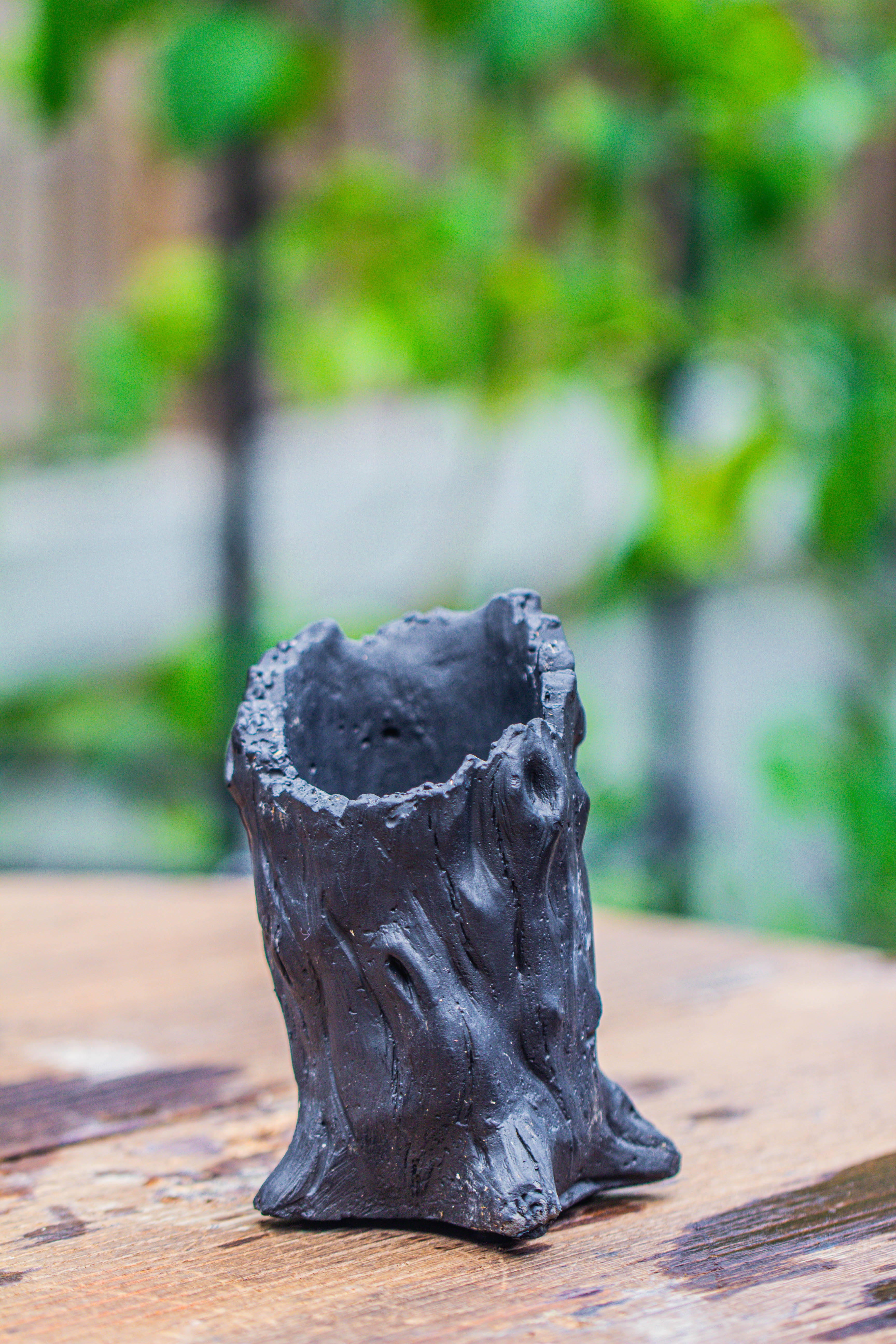 NCYP Close Geometric Glass Terrarium with Door, with vents, coconut coir, tree stump like black pot building set, for snails, spiders - NCYPgarden