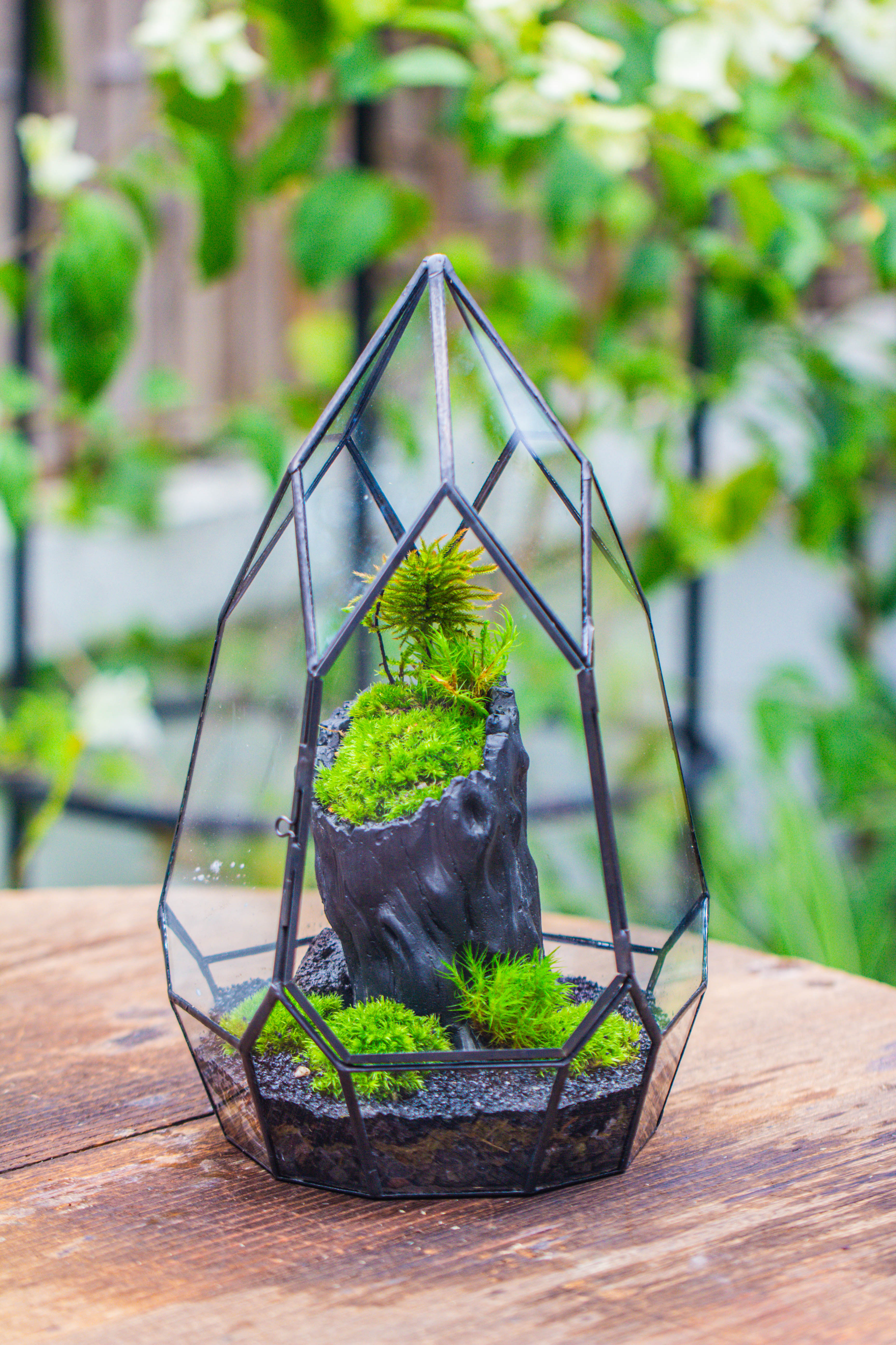 NCYP Irregular Close Geometric Glass Terrarium with door Tall Teardrop Container Moss Terrarium DIY Building Kit - NCYPgarden