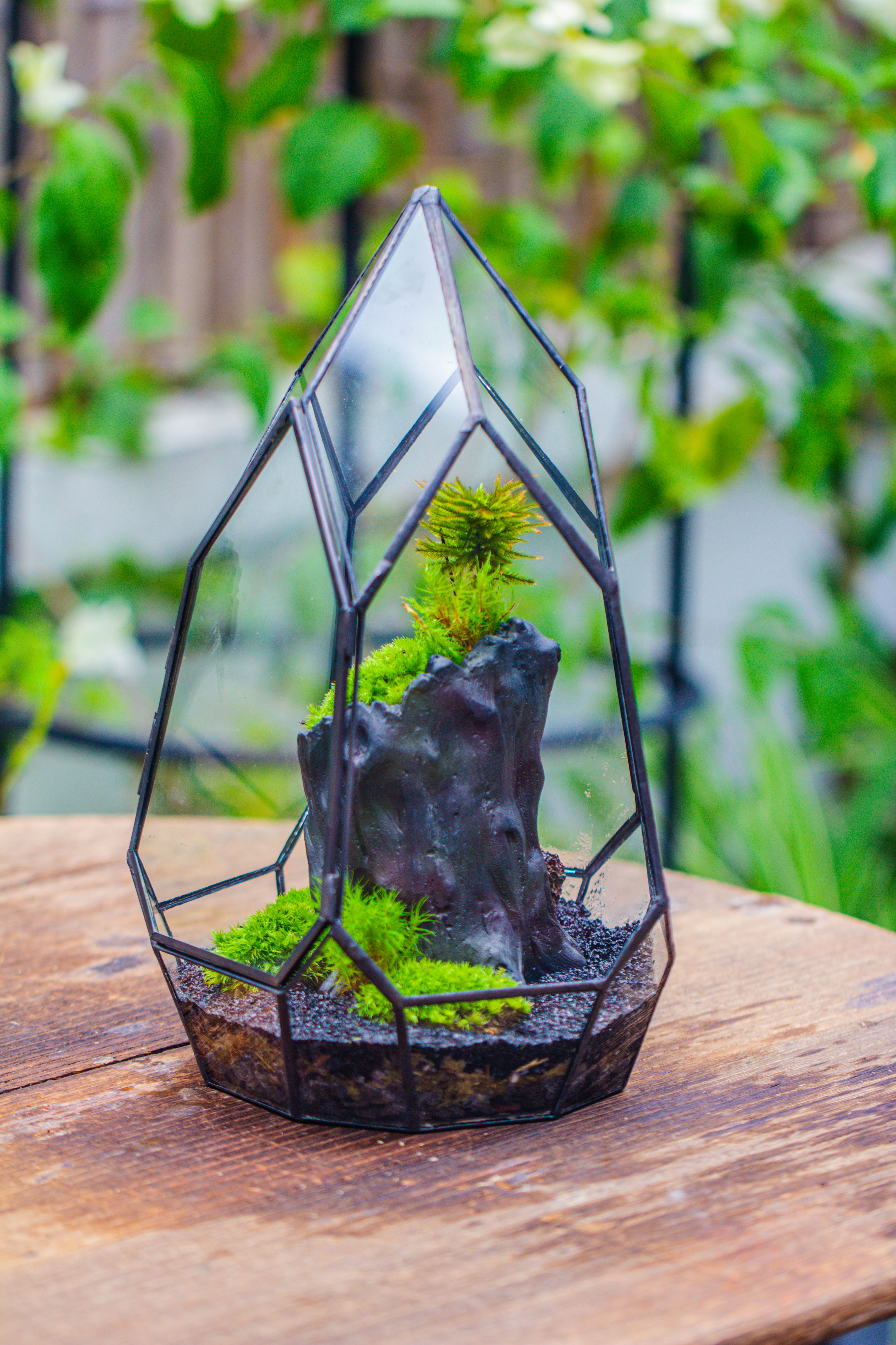 NCYP Irregular Close Geometric Glass Terrarium with door Tall Teardrop Container Moss Terrarium DIY Building Kit - NCYPgarden