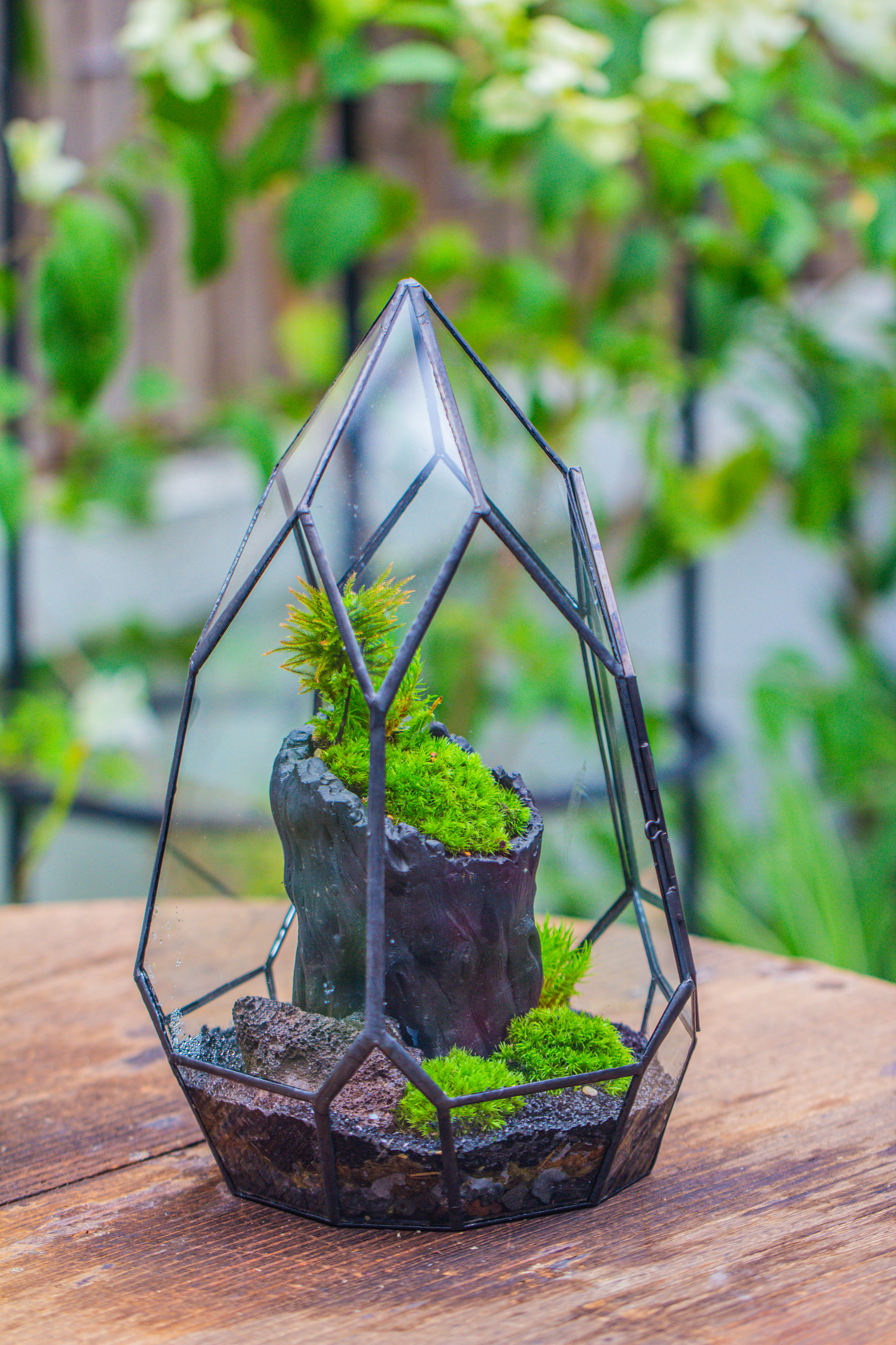 NCYP Irregular Close Geometric Glass Terrarium with door Tall Teardrop Container Moss Terrarium DIY Building Kit - NCYPgarden