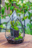 NCYP Irregular Close Geometric Glass Terrarium with door Tall Teardrop Container Moss Terrarium DIY Building Kit - NCYPgarden