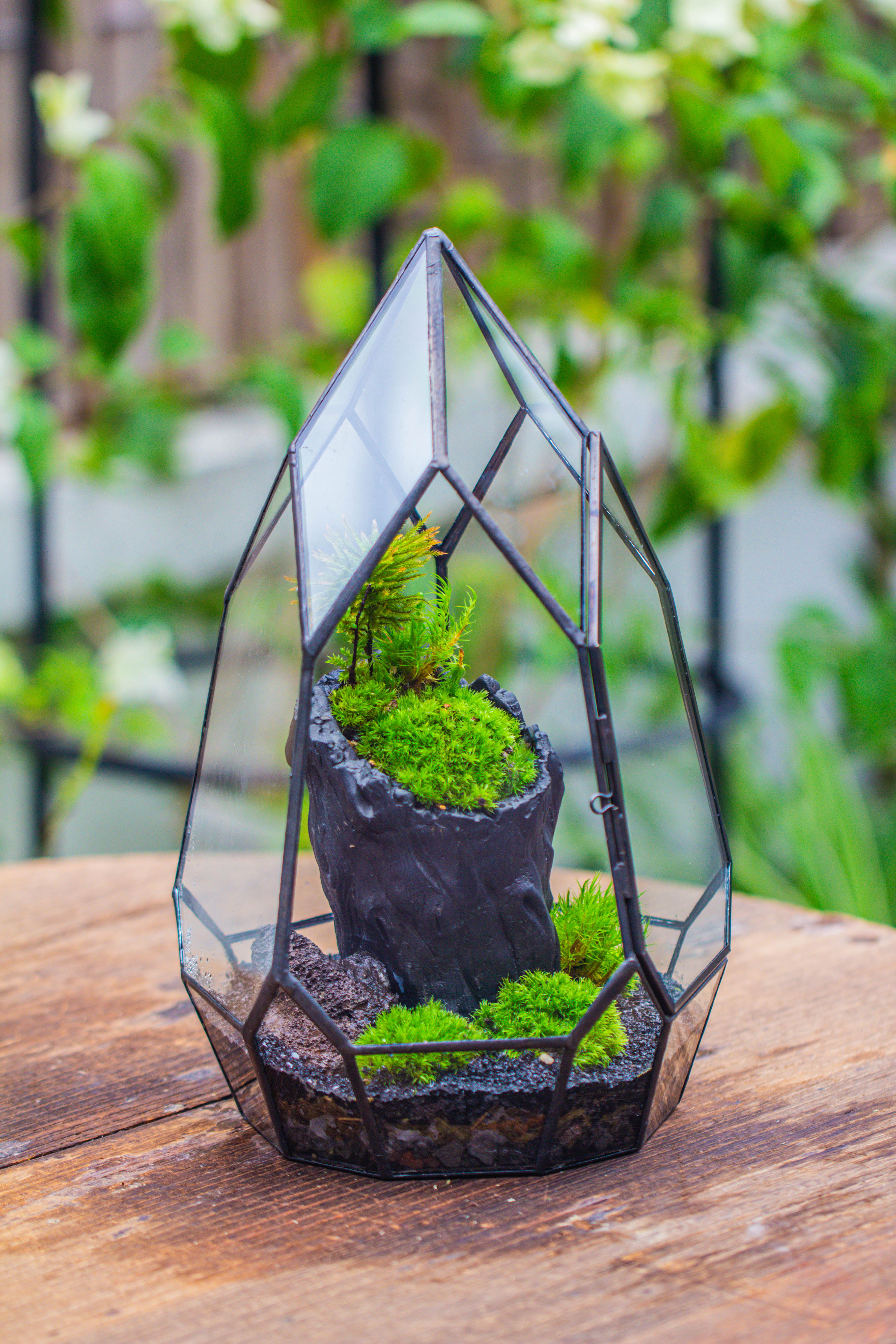 NCYP Irregular Close Geometric Glass Terrarium with door Tall Teardrop Container Moss Terrarium DIY Building Kit - NCYPgarden