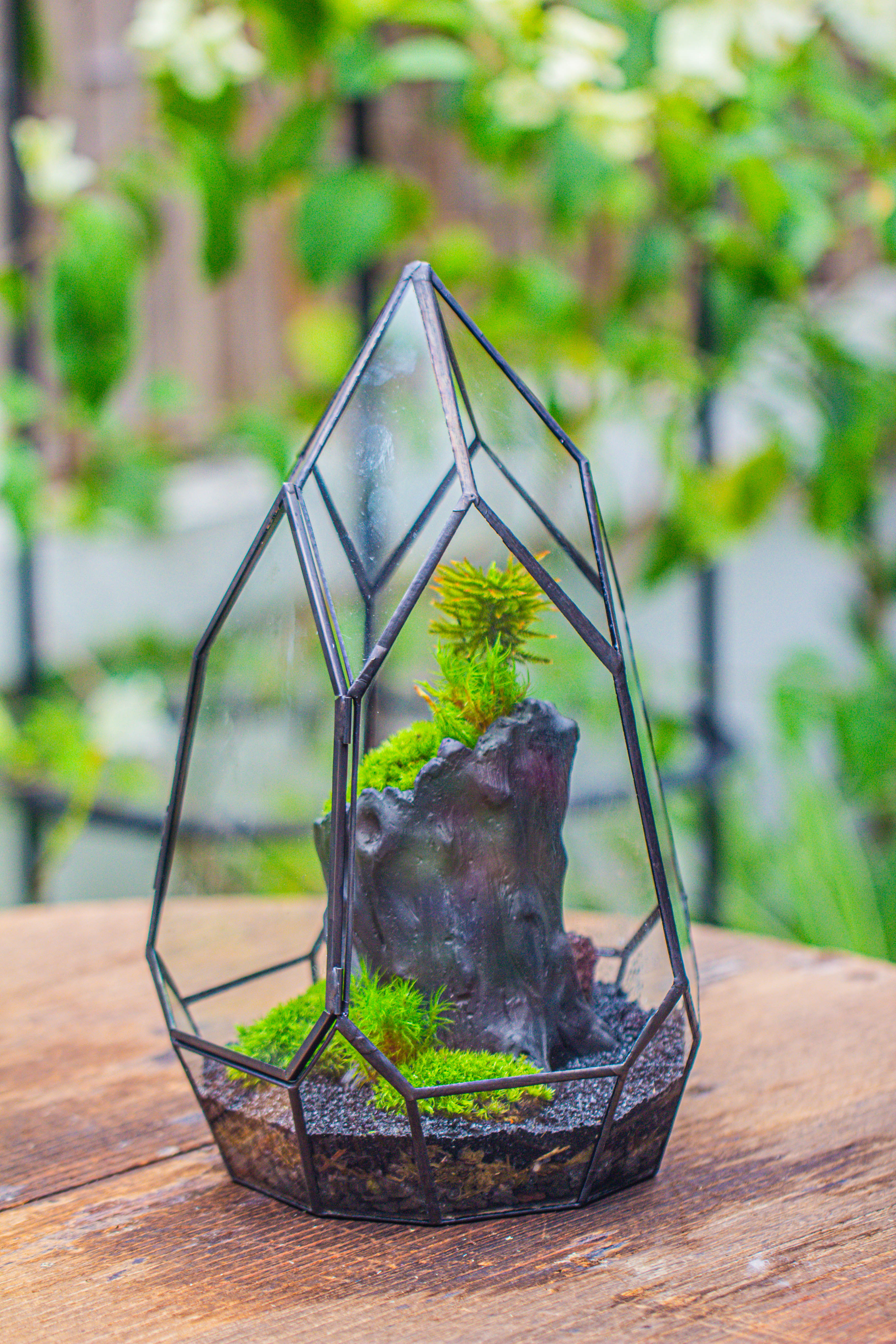 NCYP Irregular Close Geometric Glass Terrarium with door Tall Teardrop Container Moss Terrarium DIY Building Kit - NCYPgarden