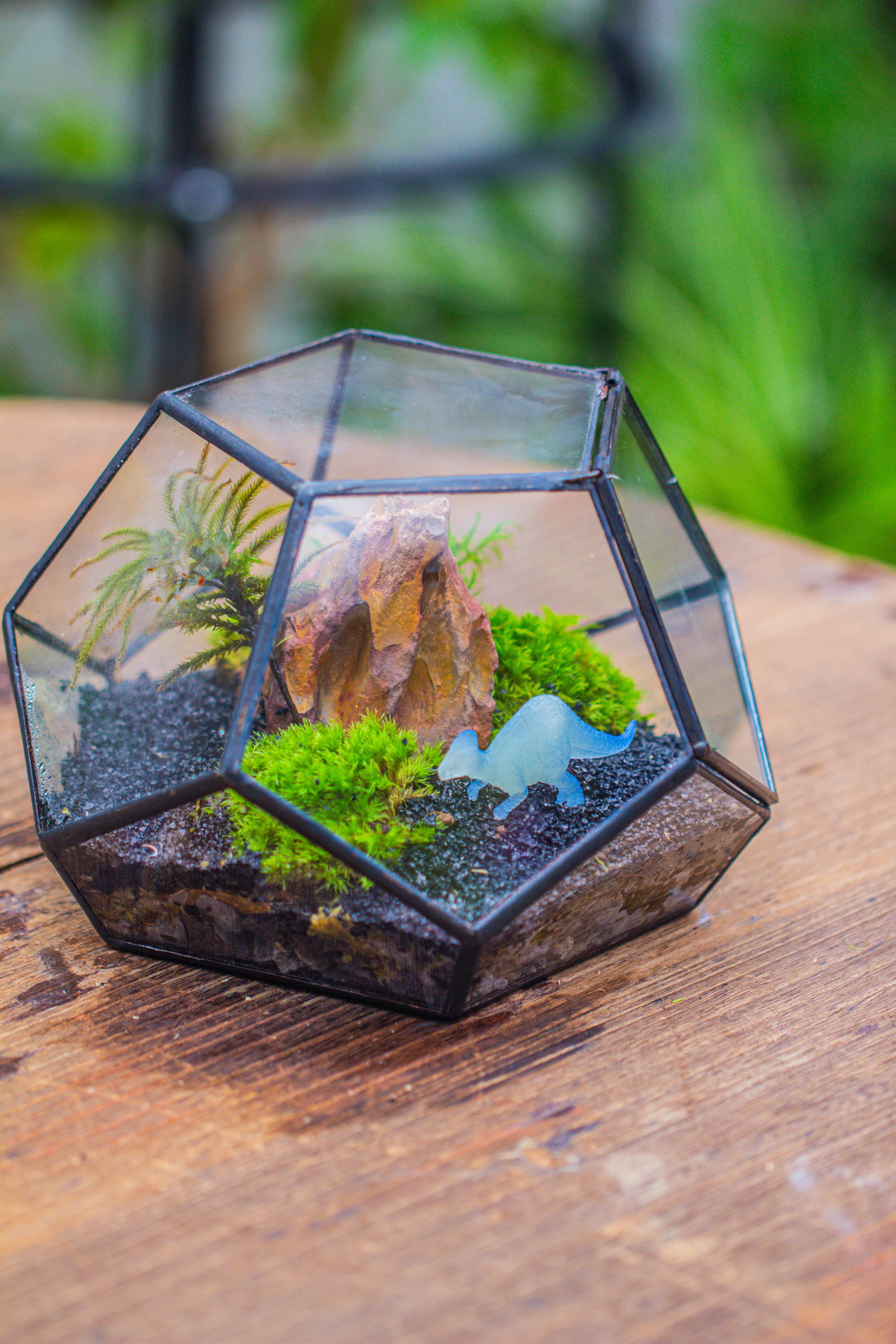 handmade geometric half ball, pentagon, close terrarium, with door for moss - NCYPgarden