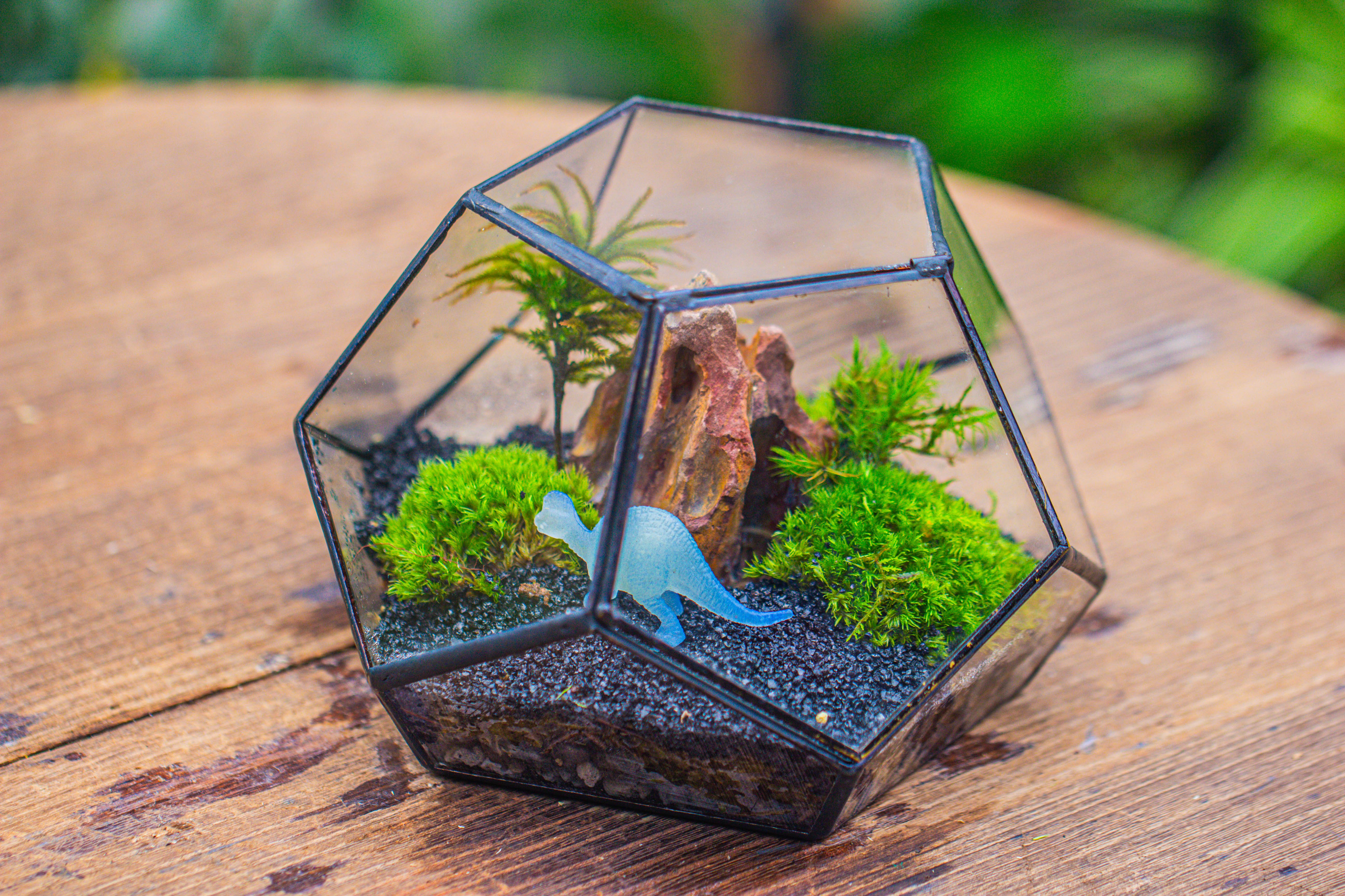 handmade geometric half ball, pentagon, close terrarium, with door for moss - NCYPgarden