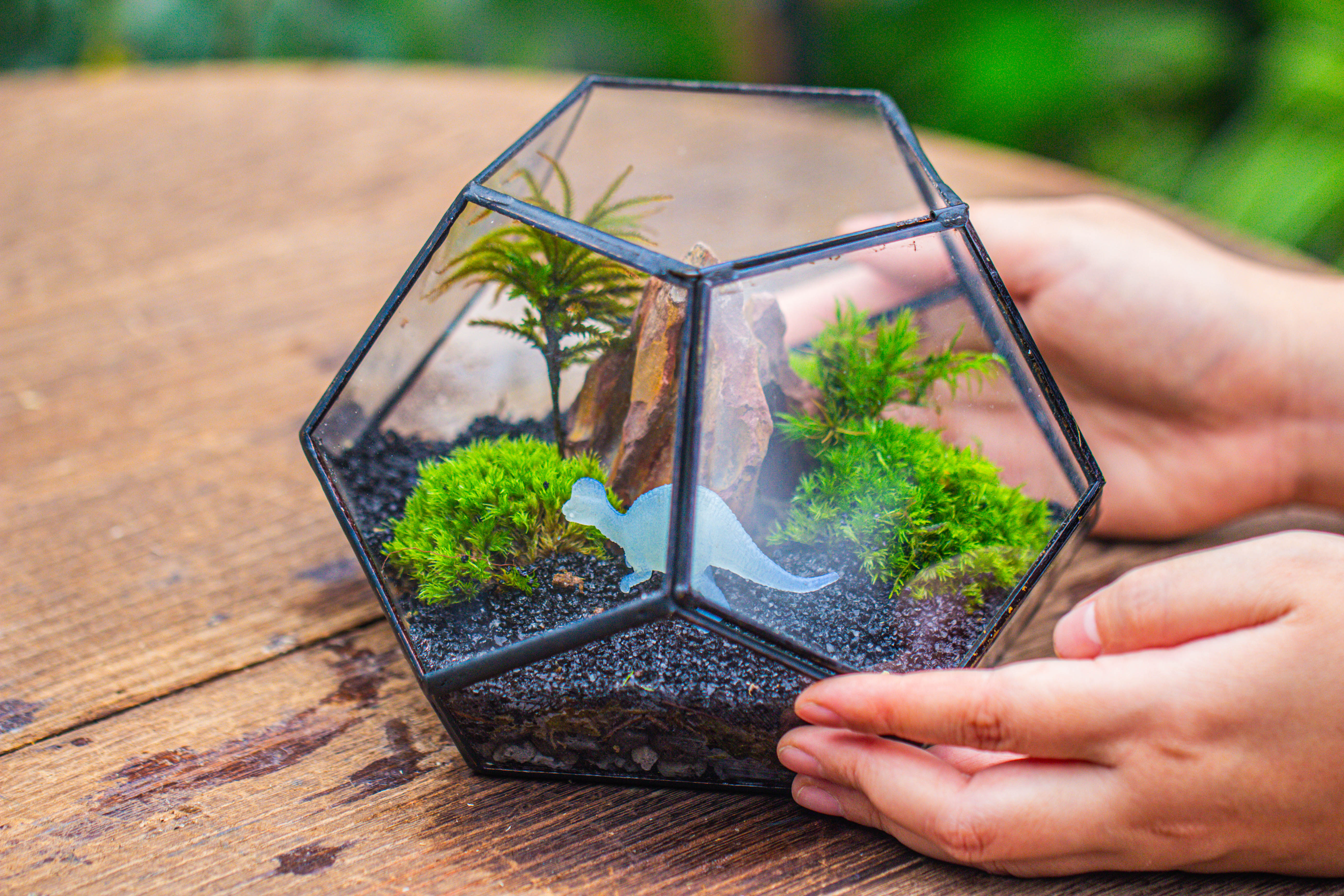 handmade geometric half ball, pentagon, close terrarium, with door for moss - NCYPgarden