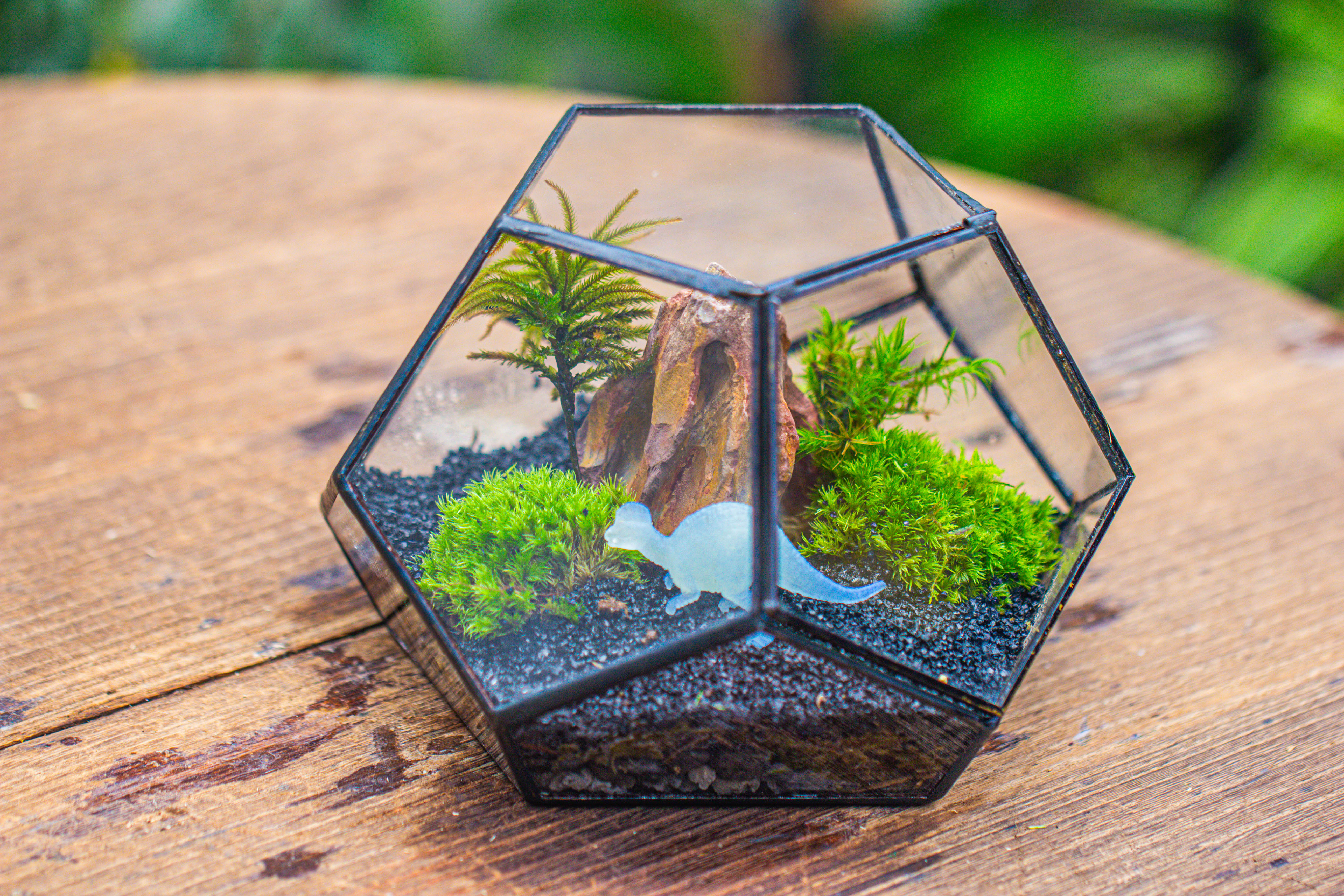 handmade geometric half ball, pentagon, close terrarium, with door for moss - NCYPgarden