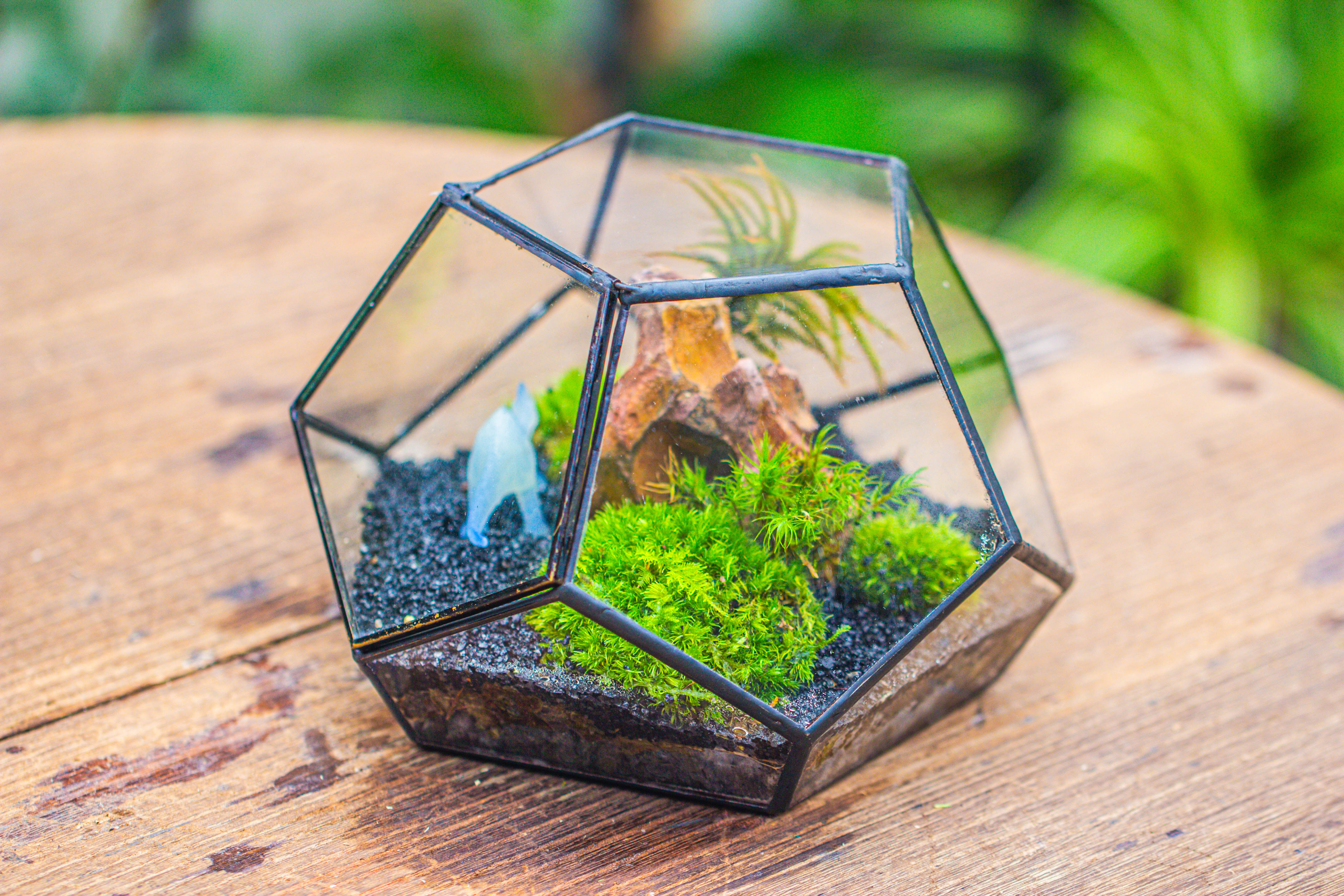 handmade geometric half ball, pentagon, close terrarium, with door for moss - NCYPgarden