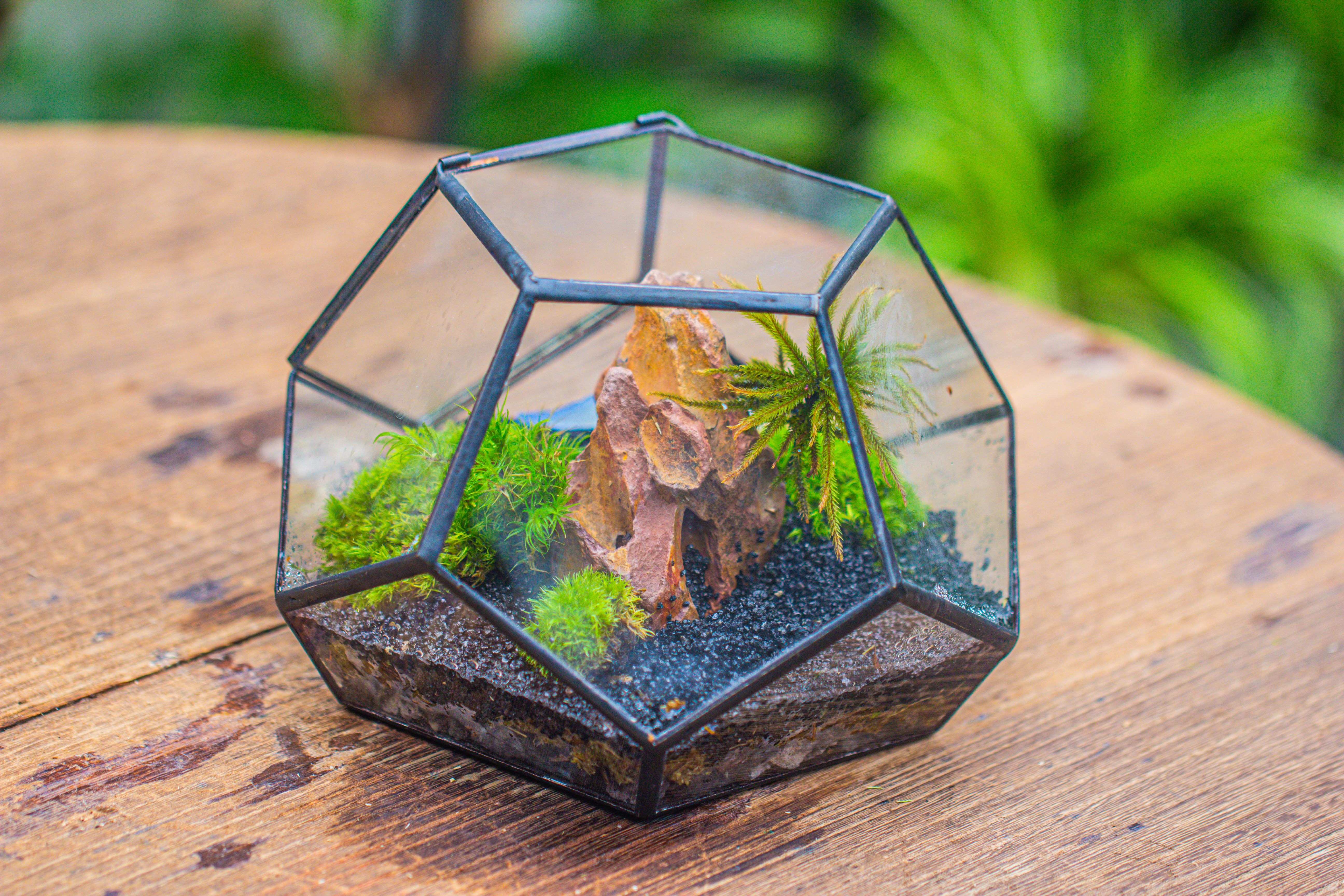 handmade geometric half ball, pentagon, close terrarium, with door for moss - NCYPgarden