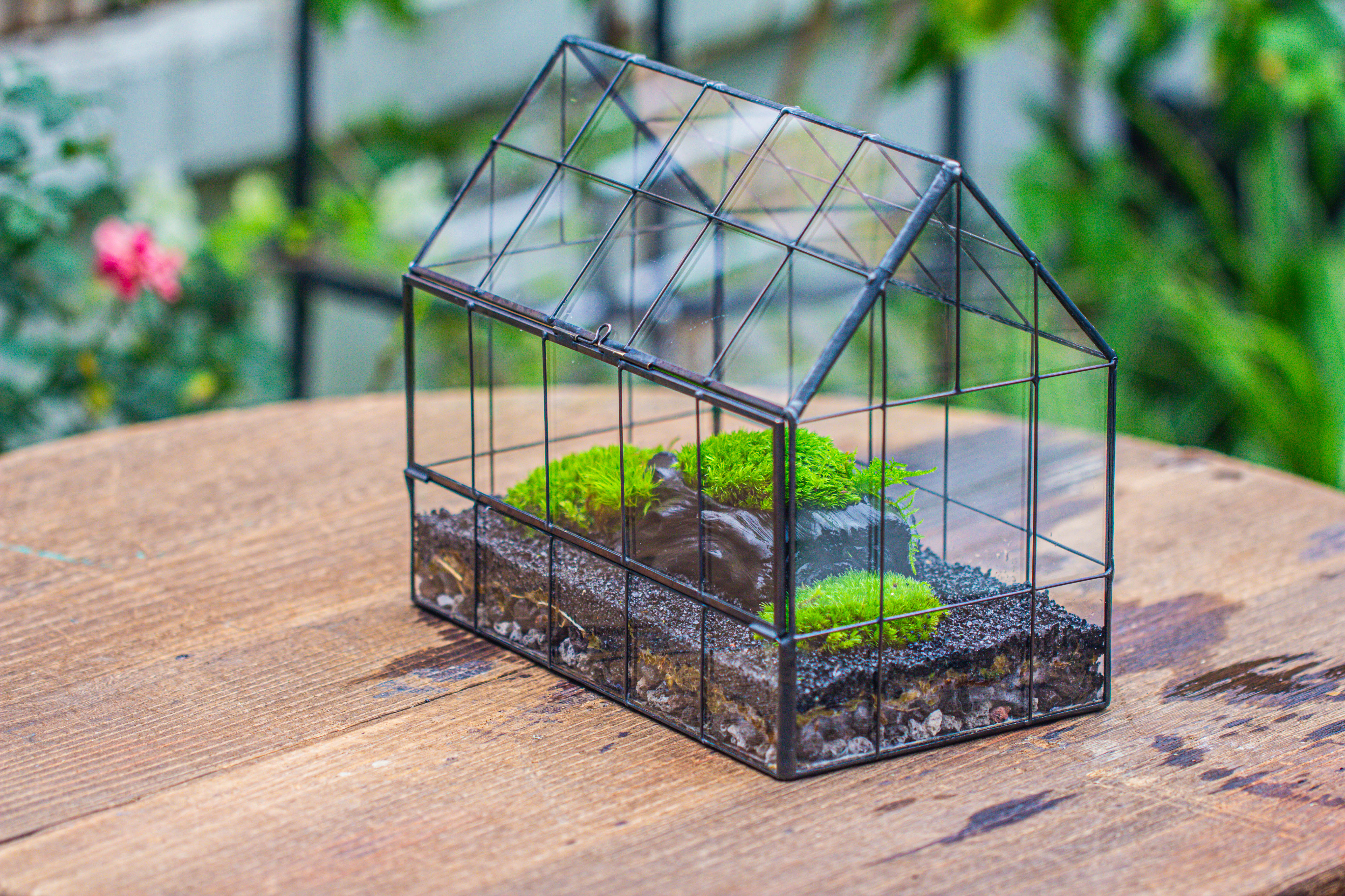 Handmade Glass Terrarium with LED Grow Light Set, Side Door Closed Geometric GreenHouse with Base and Light Set - NCYPgarden