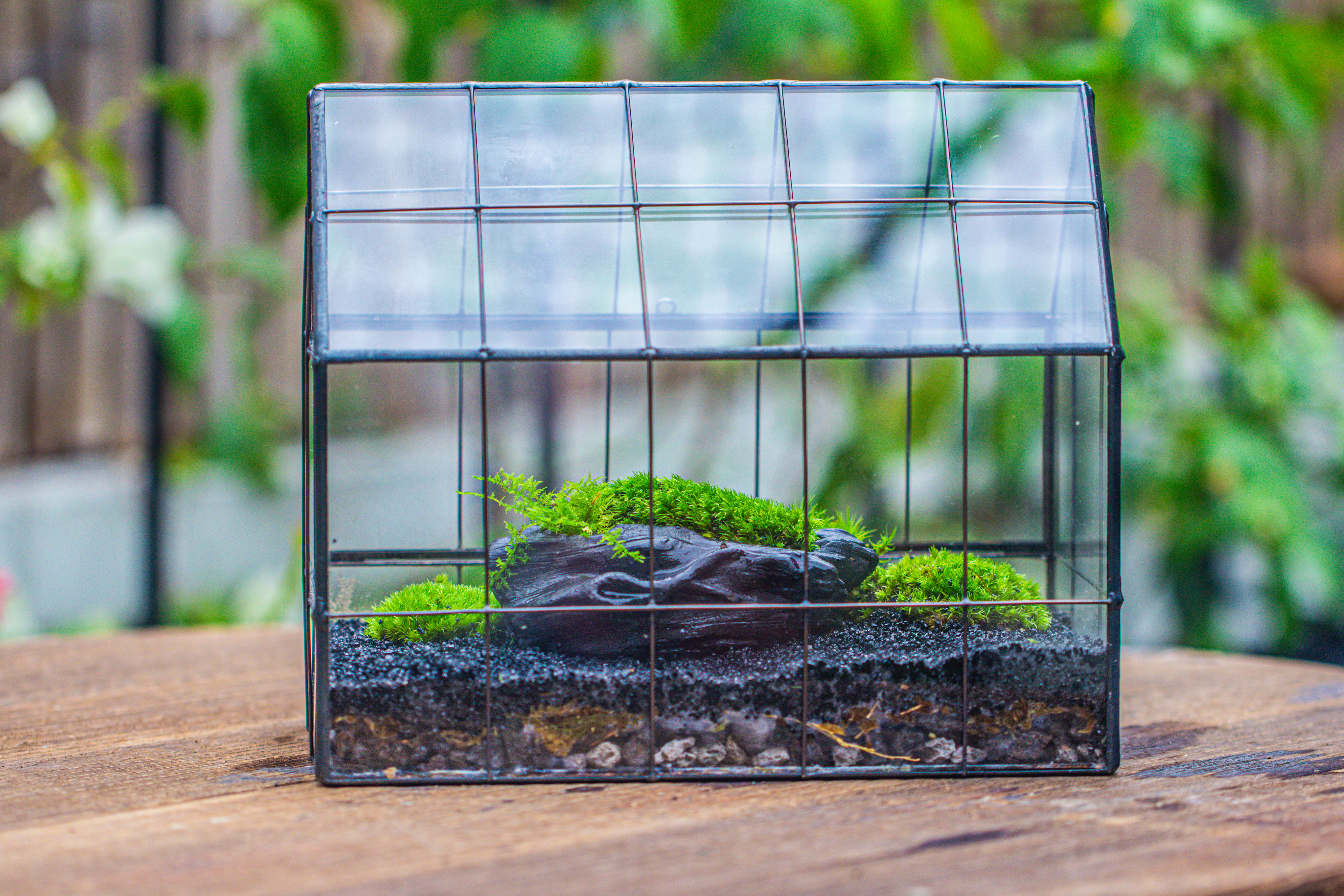 Handmade Glass Terrarium with LED Grow Light Set, Side Door Closed Geometric GreenHouse with Base and Light Set - NCYPgarden