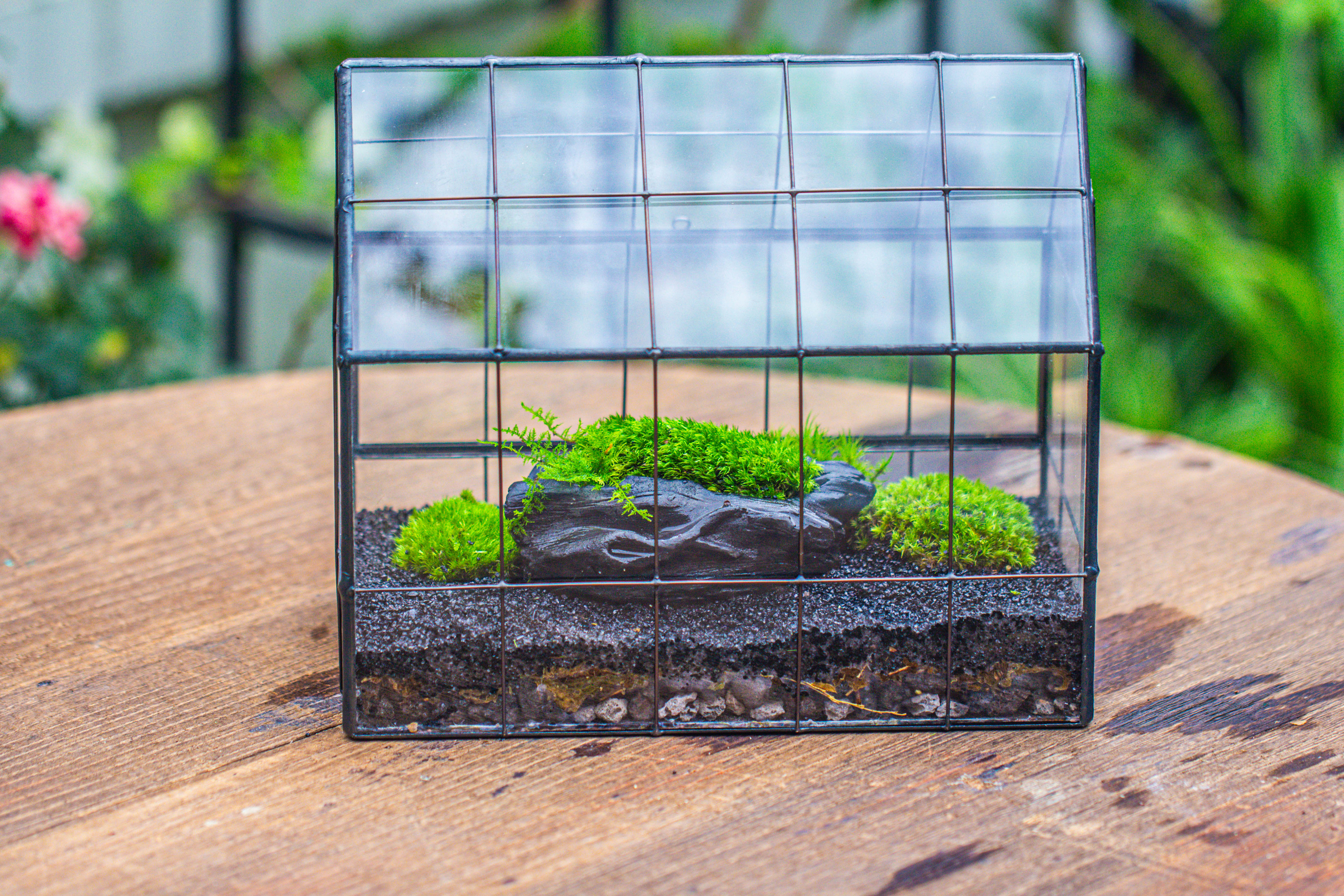 Handmade Glass Terrarium with LED Grow Light Set, Side Door Closed Geometric GreenHouse with Base and Light Set - NCYPgarden