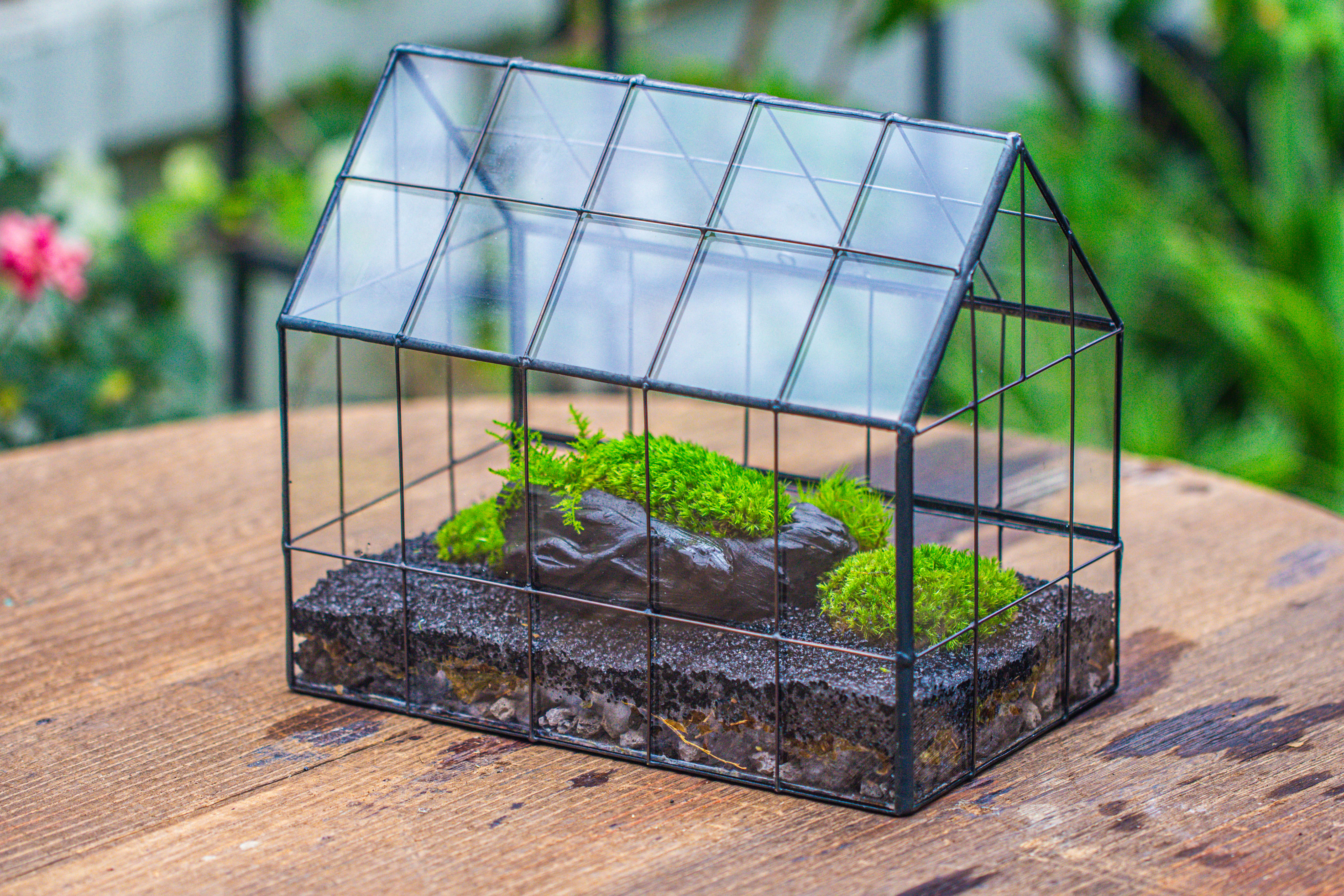 Handmade Glass Terrarium with LED Grow Light Set, Side Door Closed Geometric GreenHouse with Base and Light Set - NCYPgarden