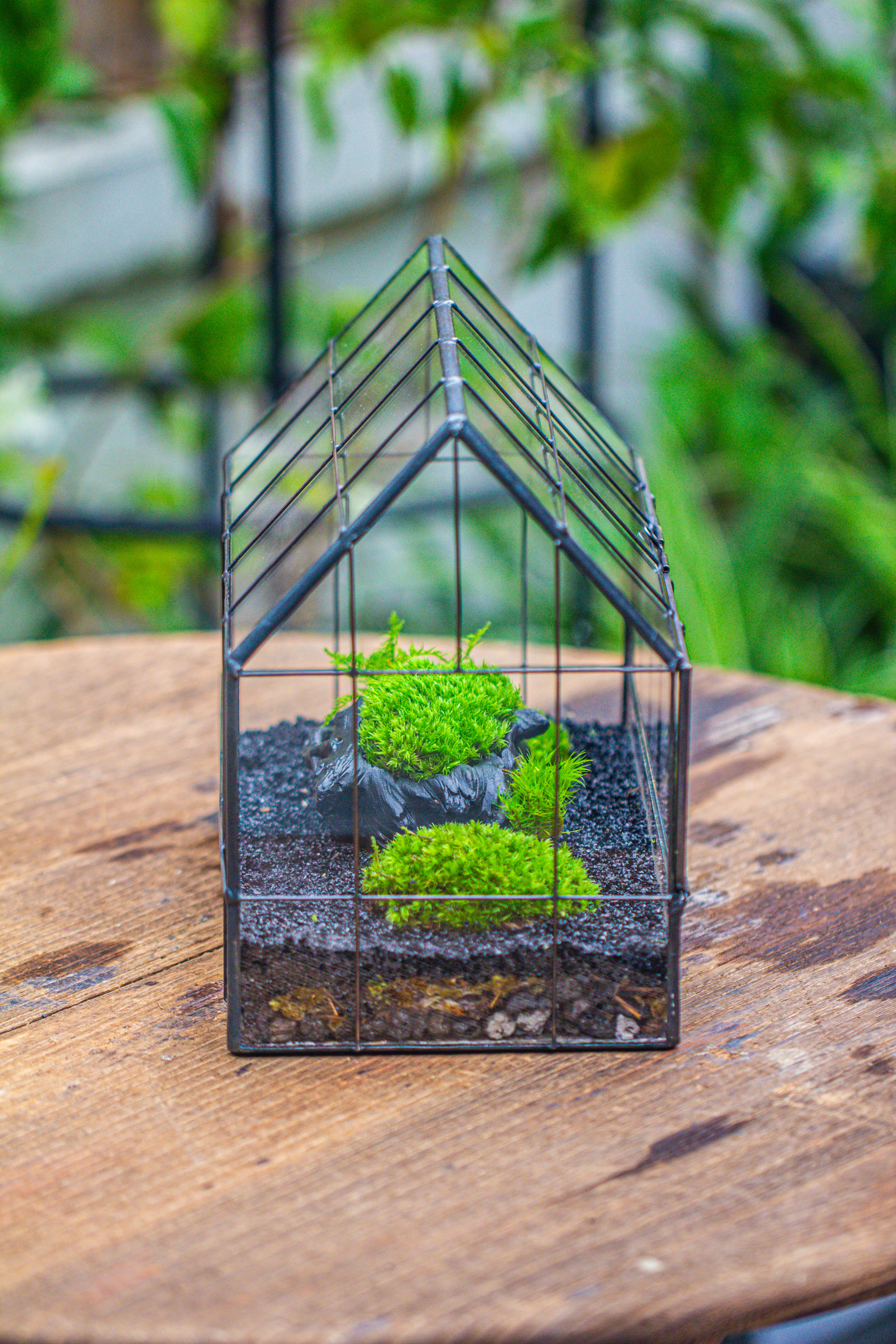 Black Theme Moss and  Black Tree Stump Vintage Greenhgouse  Tin and Glass Terrarium Kit - NCYPgarden