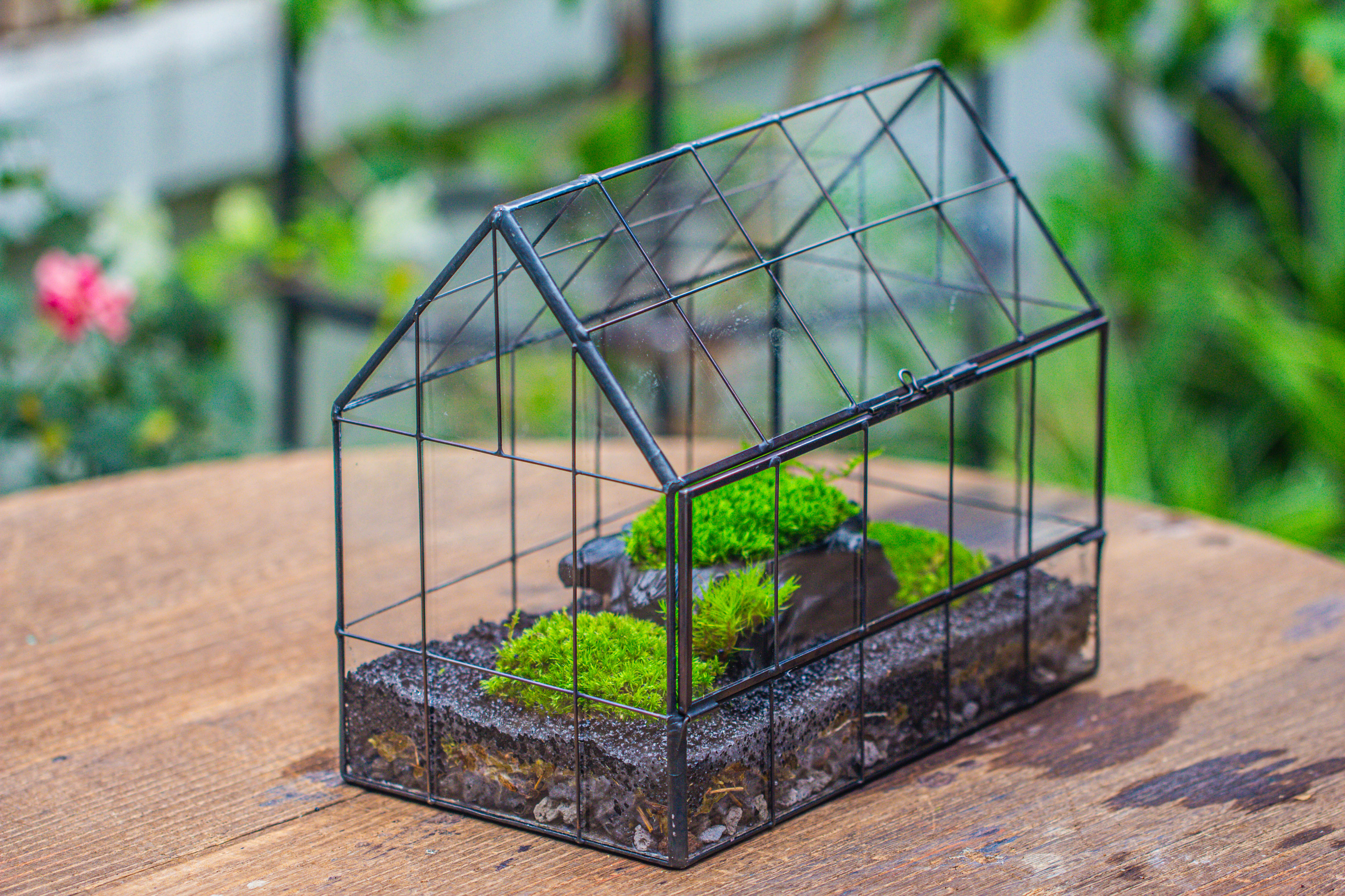 Handmade Glass Terrarium with LED Grow Light Set, Side Door Closed Geometric GreenHouse with Base and Light Set - NCYPgarden