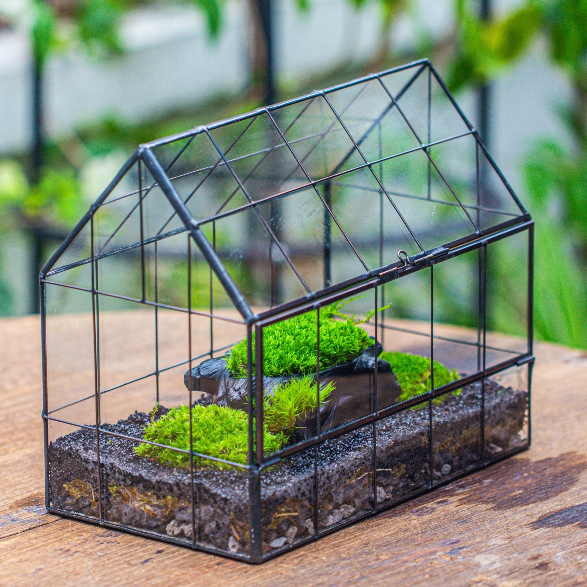 glass house for growing plants Handmade Glass Terrarium with LED Grow Light Set, Side Door Closed Geometric GreenHouse with Base and Light Set