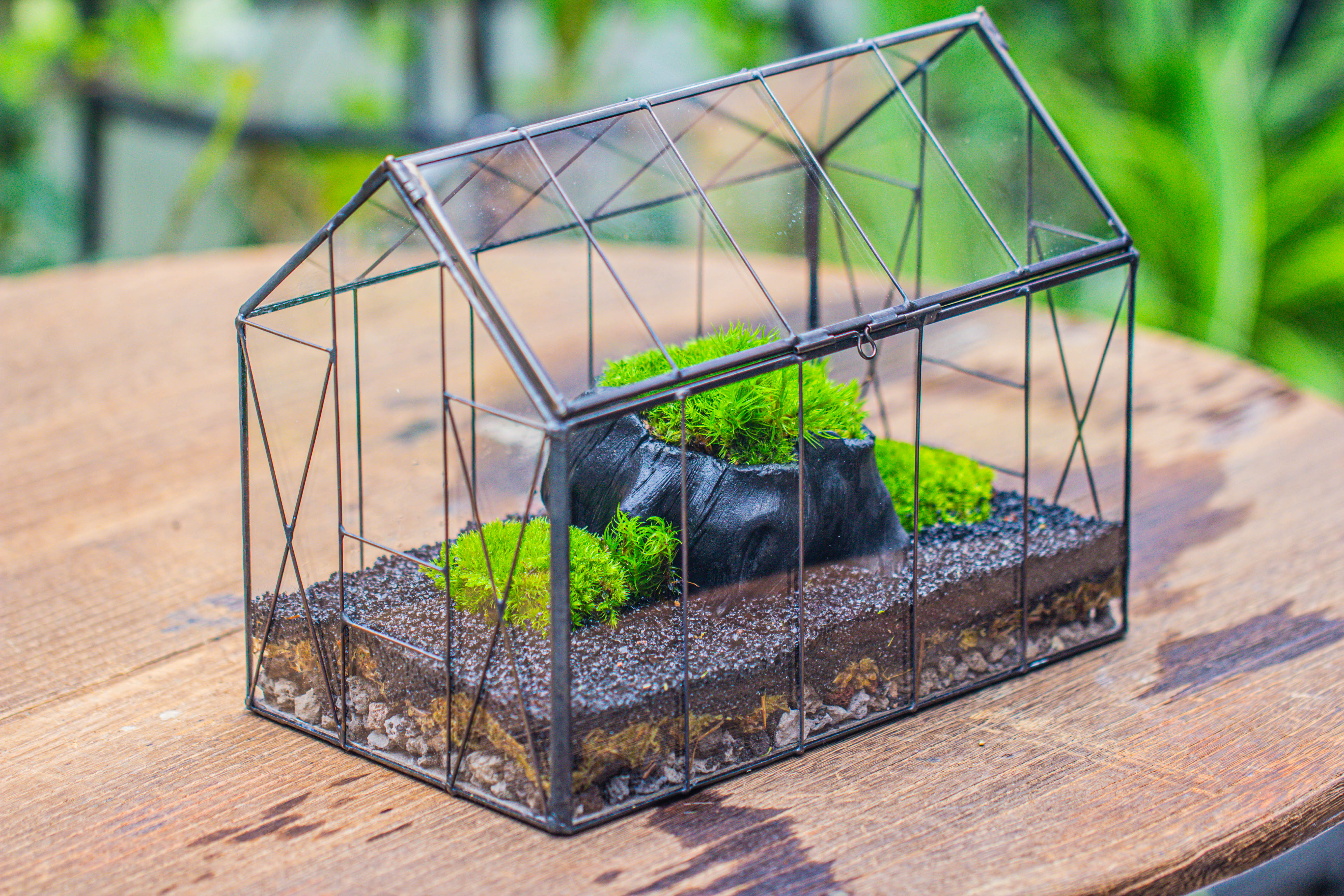 Handmade Vintage Greenhouse Inspired Tin Terrarium with LED Grow Light Set, Closed Glass Planter Set - NCYPgarden