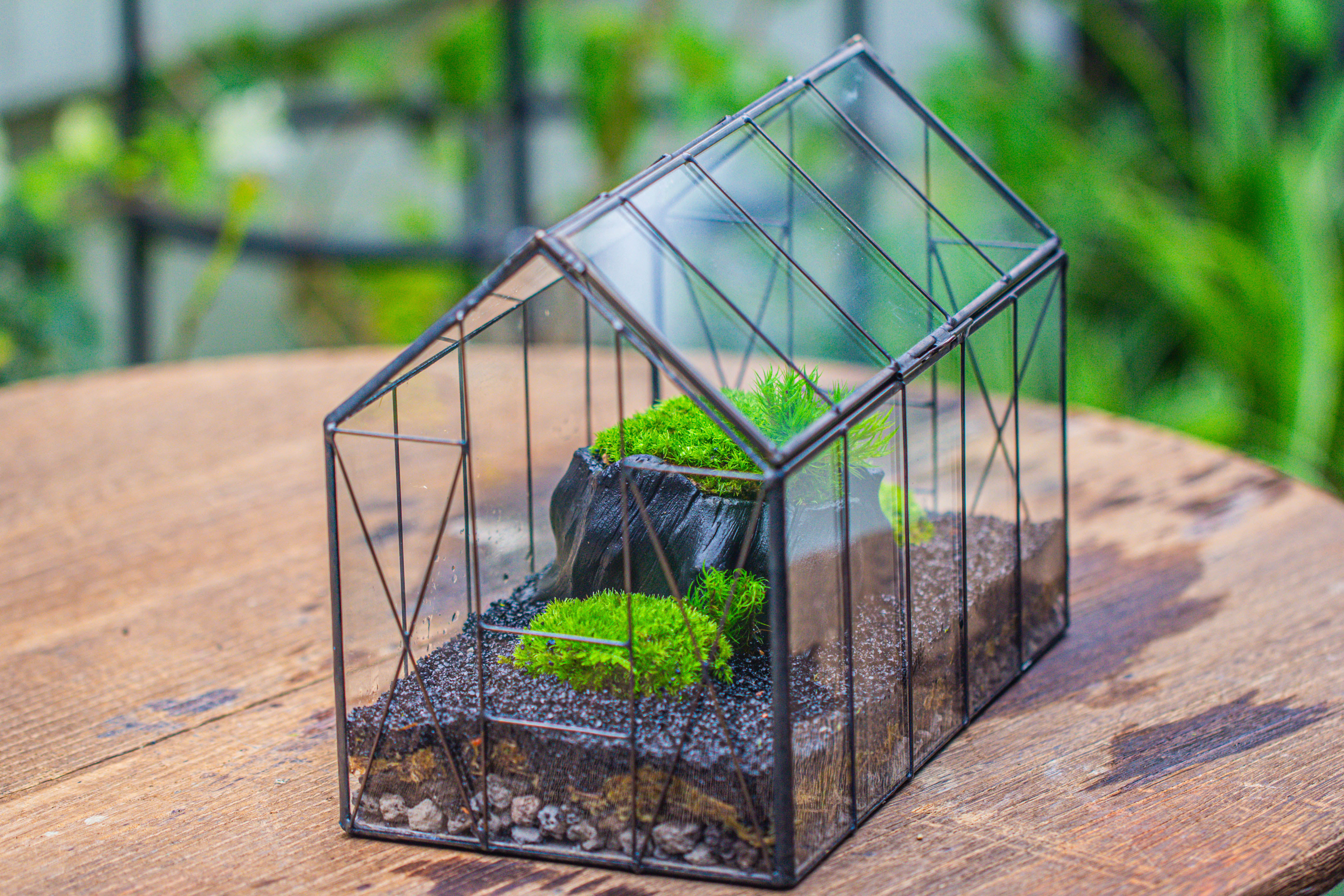 房子上开门 谷仓 黑树桩 - NCYPgarden