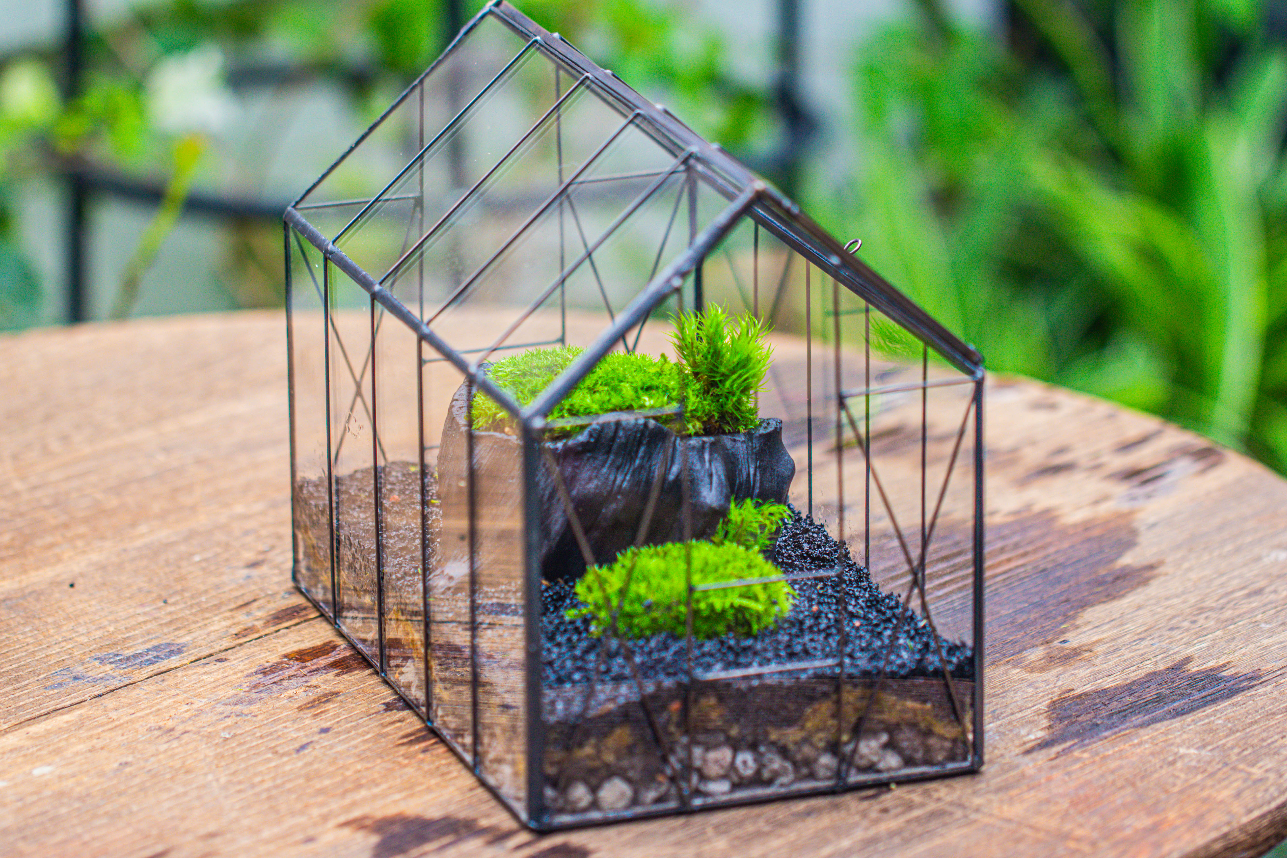 房子上开门 谷仓 黑树桩 - NCYPgarden