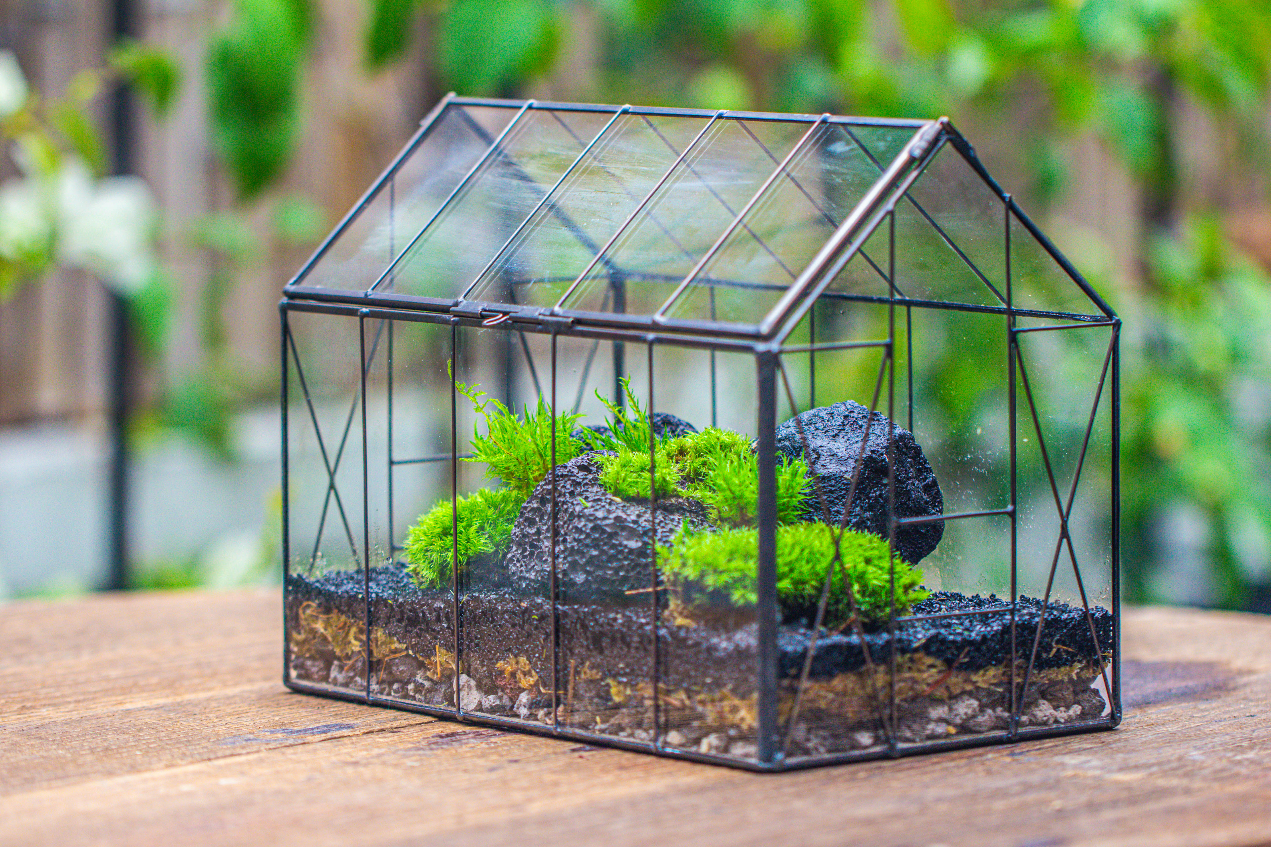 Handmade Vintage Greenhouse Inspired Tin Terrarium with LED Grow Light Set, Closed Glass Planter Set - NCYPgarden