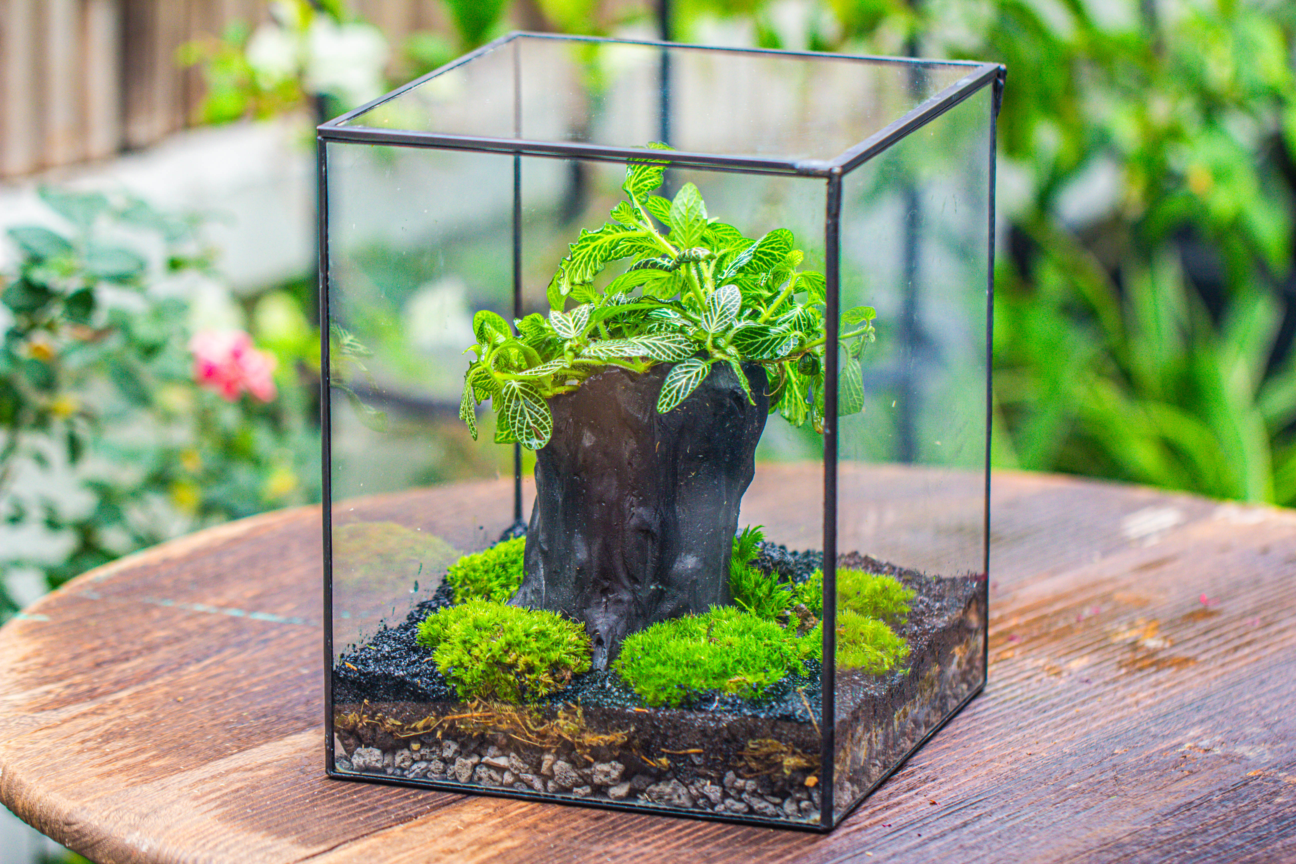 竖版大长方形 上开盖 - NCYPgarden