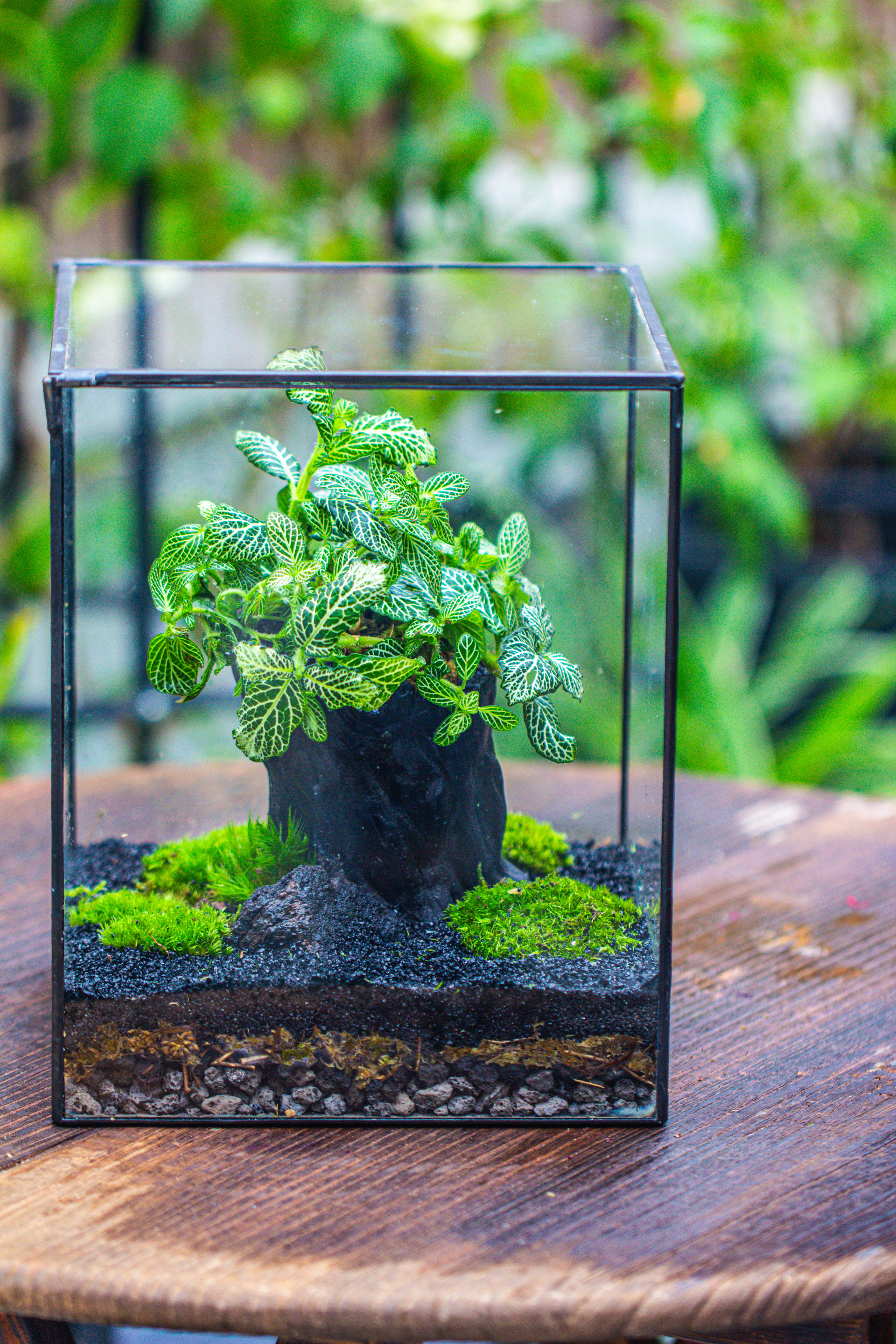 竖版大长方形 上开盖 - NCYPgarden