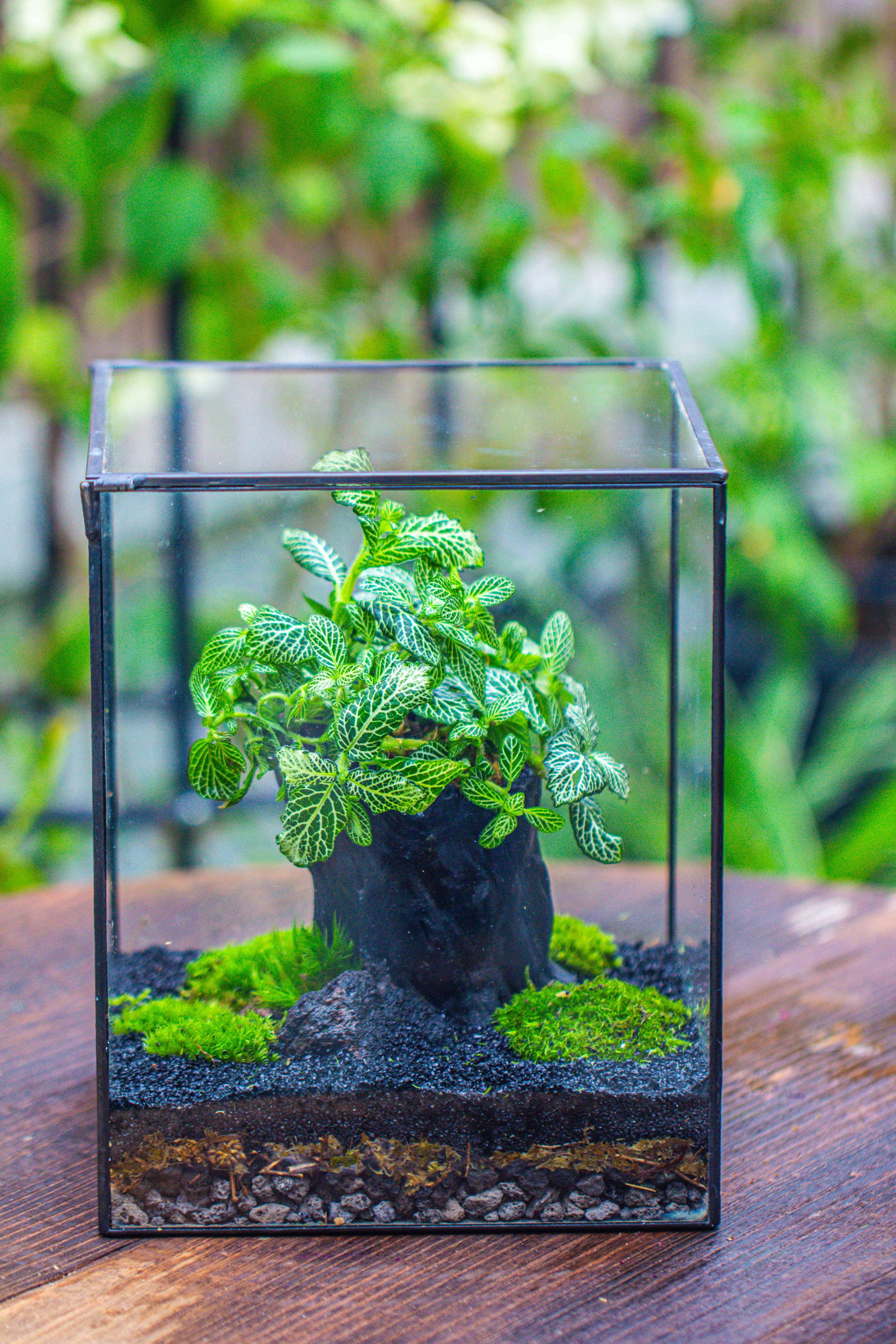 竖版大长方形 上开盖 - NCYPgarden