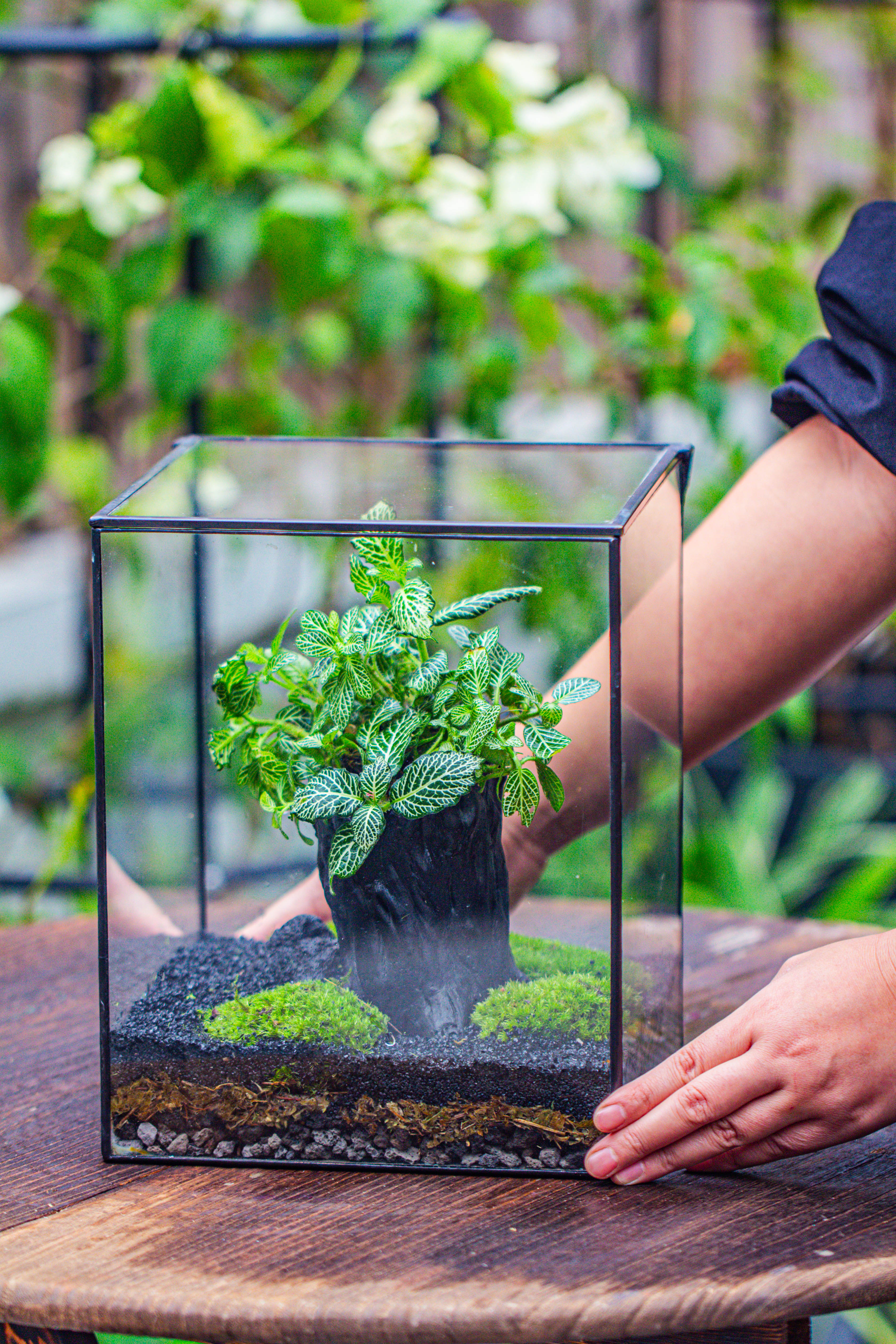 竖版大长方形 上开盖 - NCYPgarden