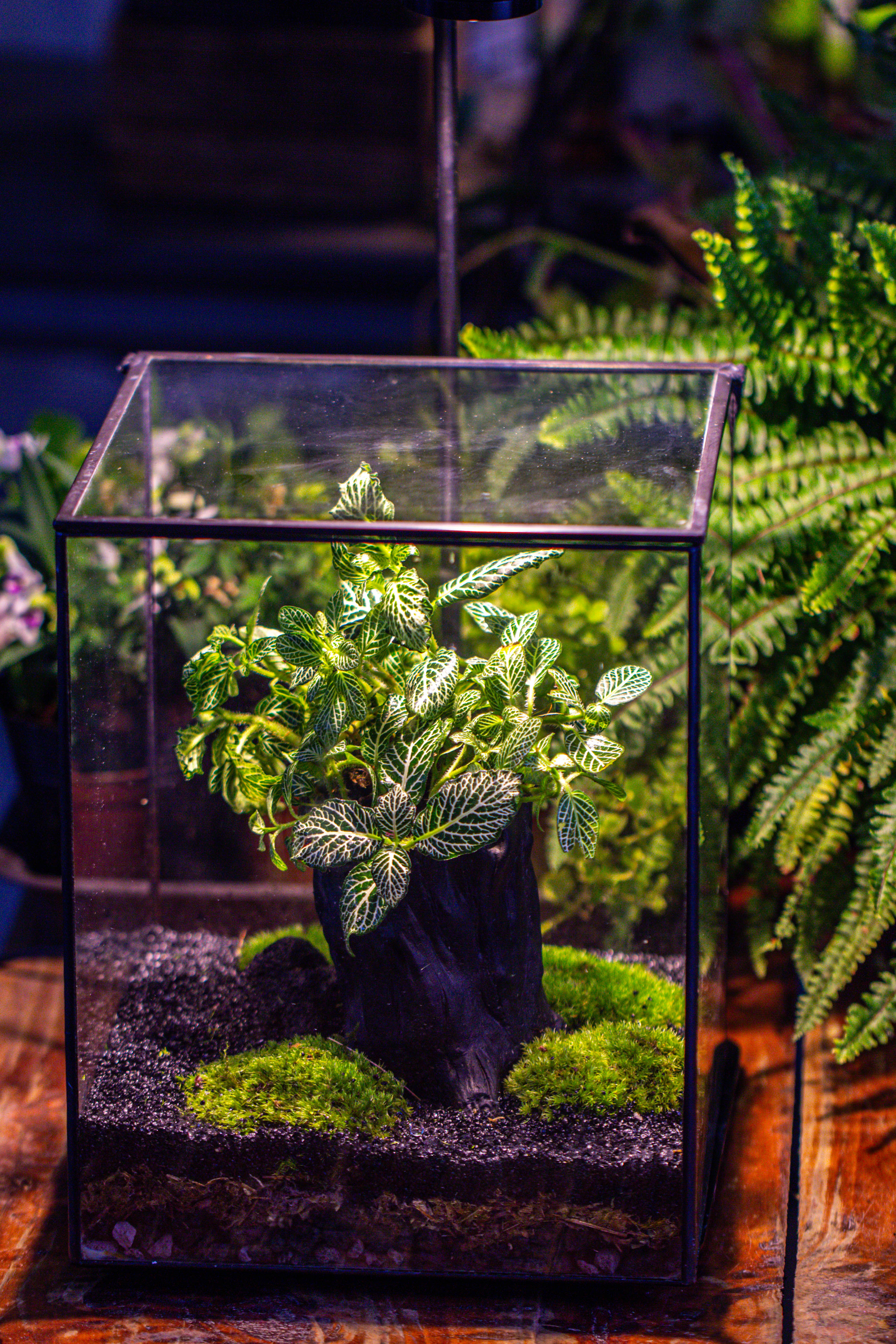 竖版大长方形 上开盖 - NCYPgarden