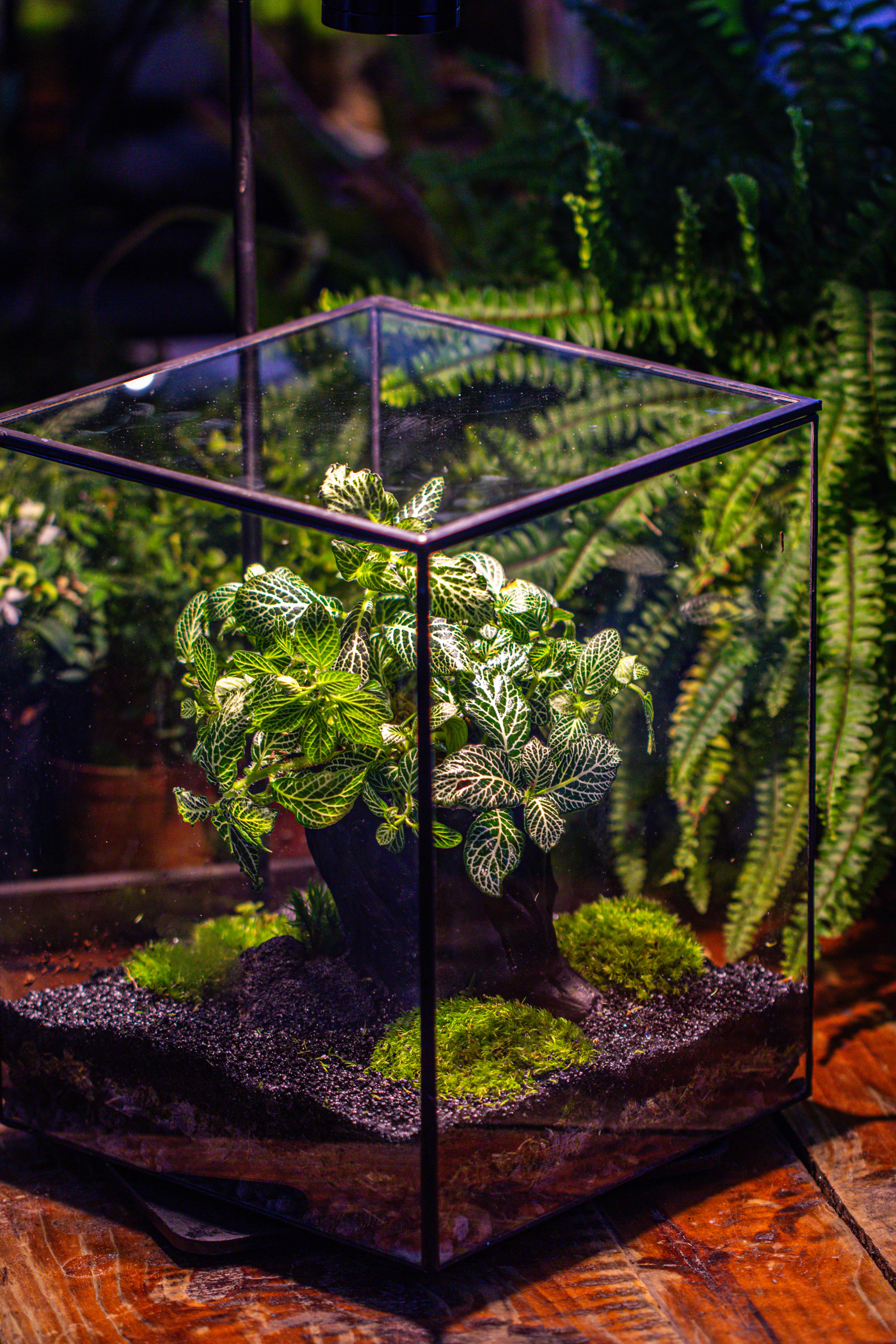 竖版大长方形 上开盖 - NCYPgarden