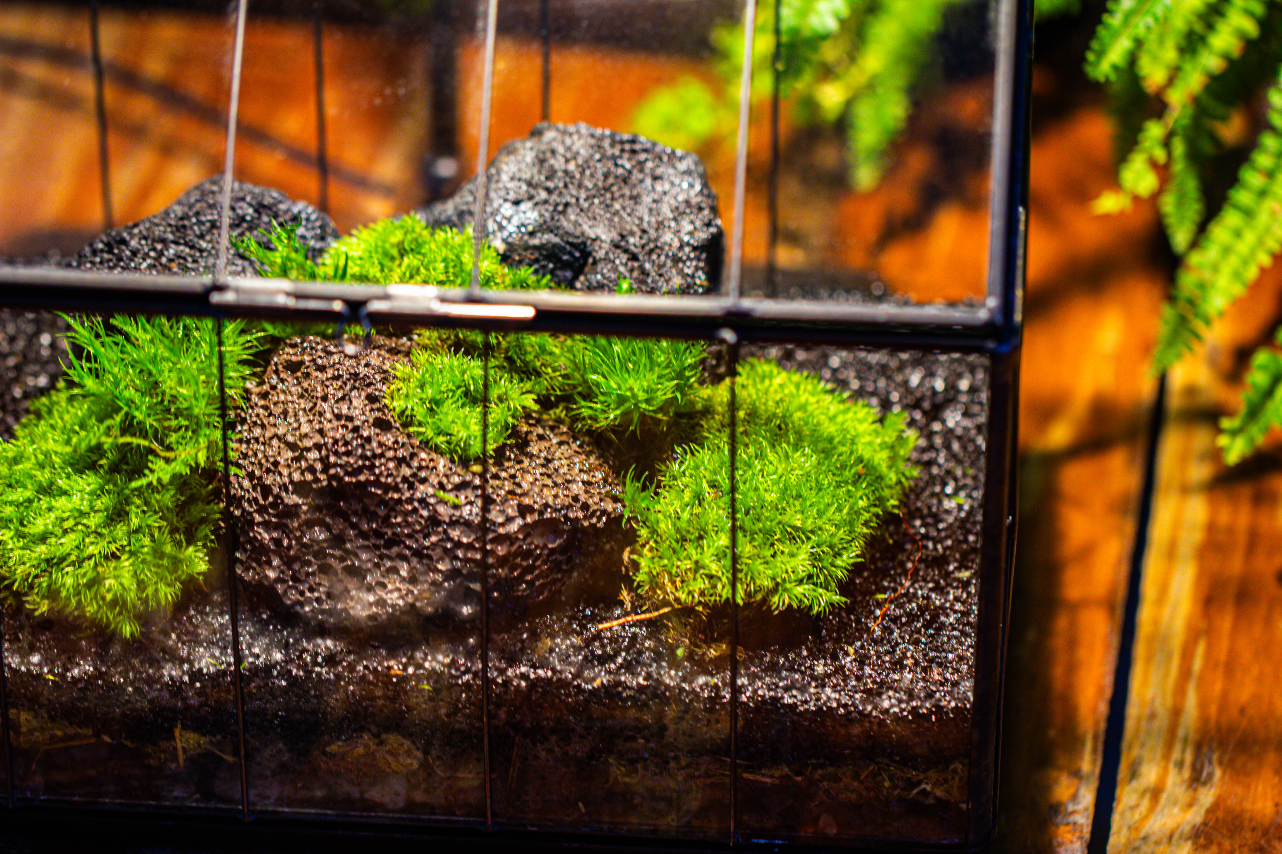 房子上开门 谷仓 黑火山岩 - NCYPgarden