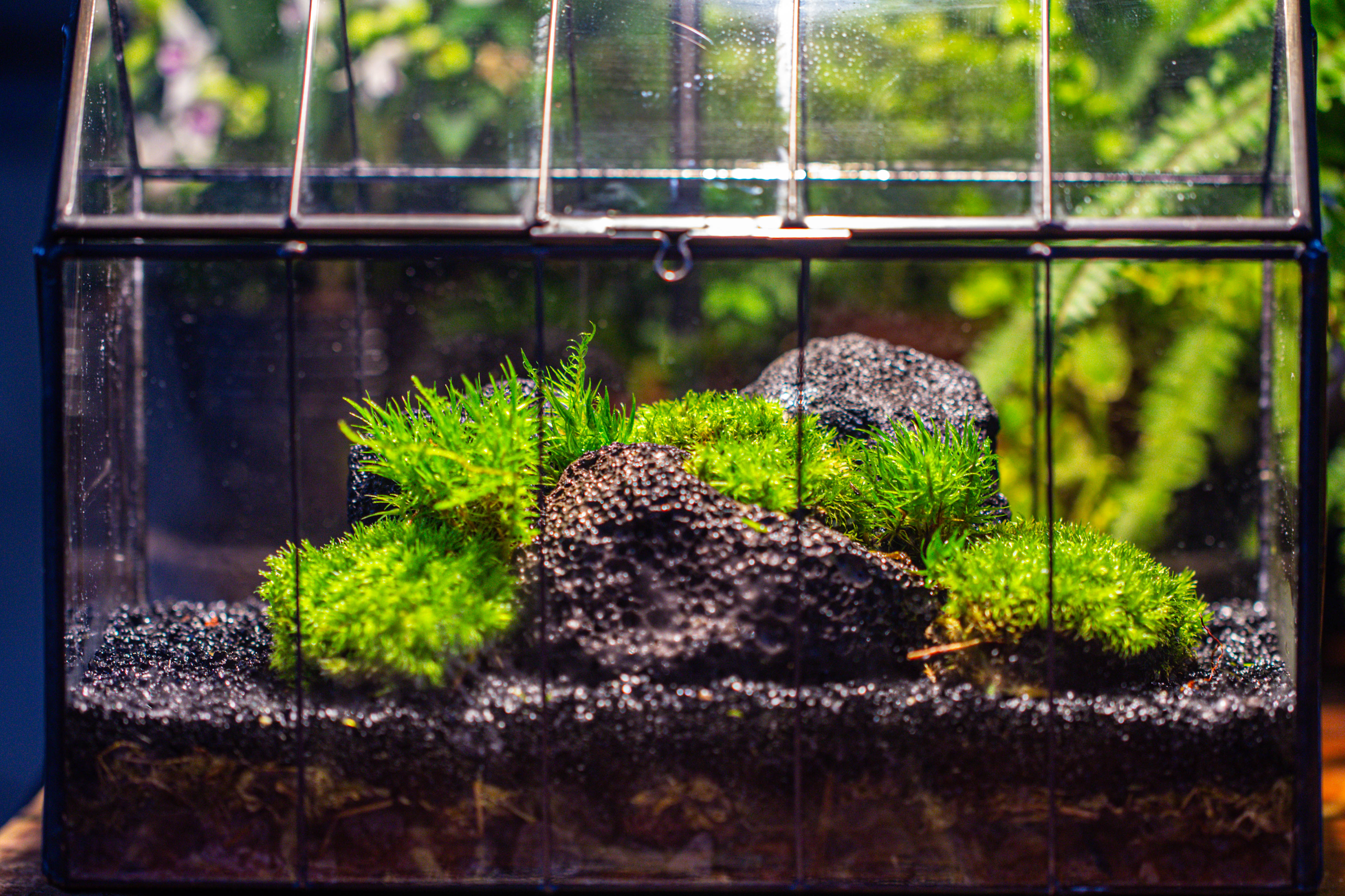 房子上开门 谷仓 黑火山岩 - NCYPgarden