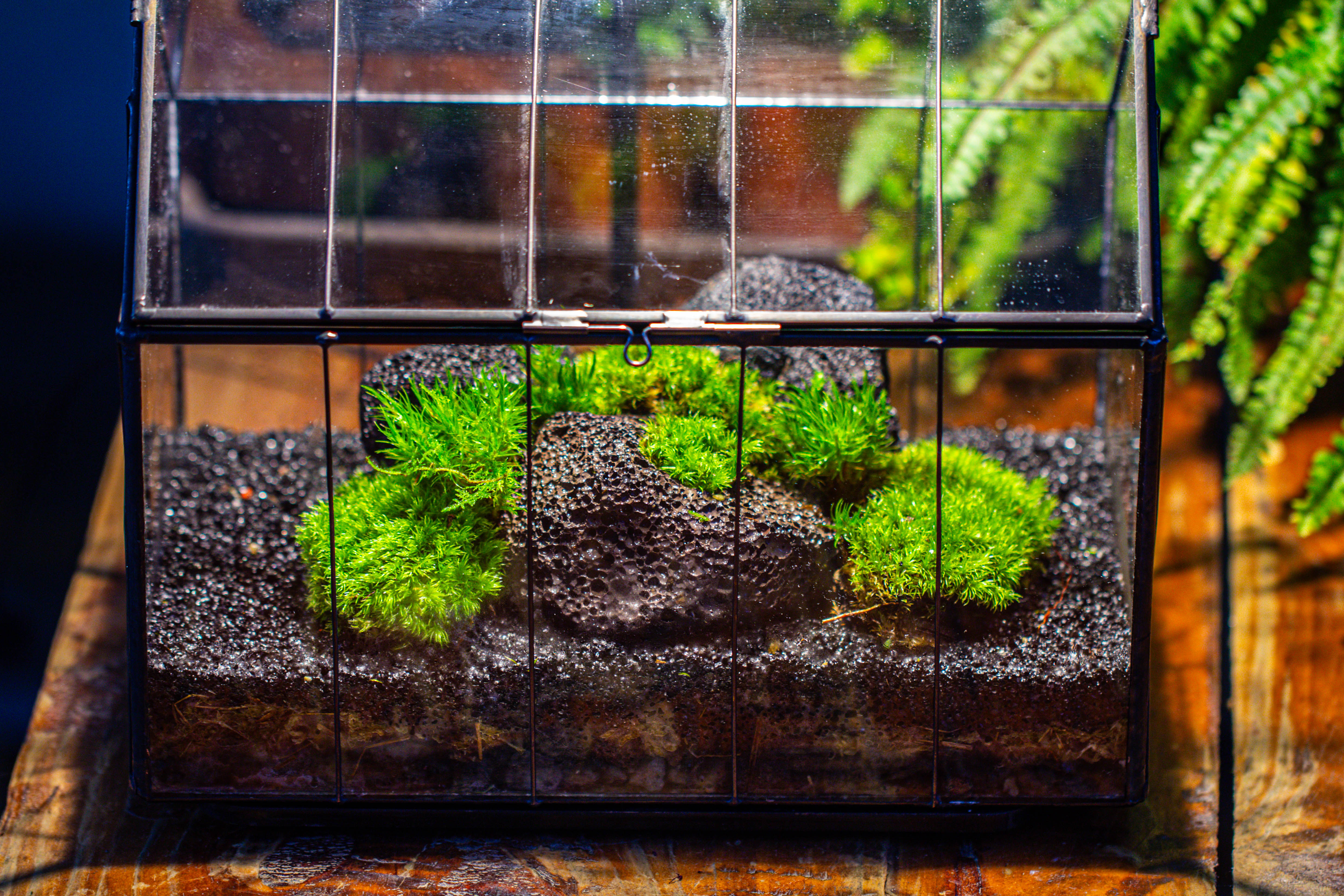 房子上开门 谷仓 黑火山岩 - NCYPgarden