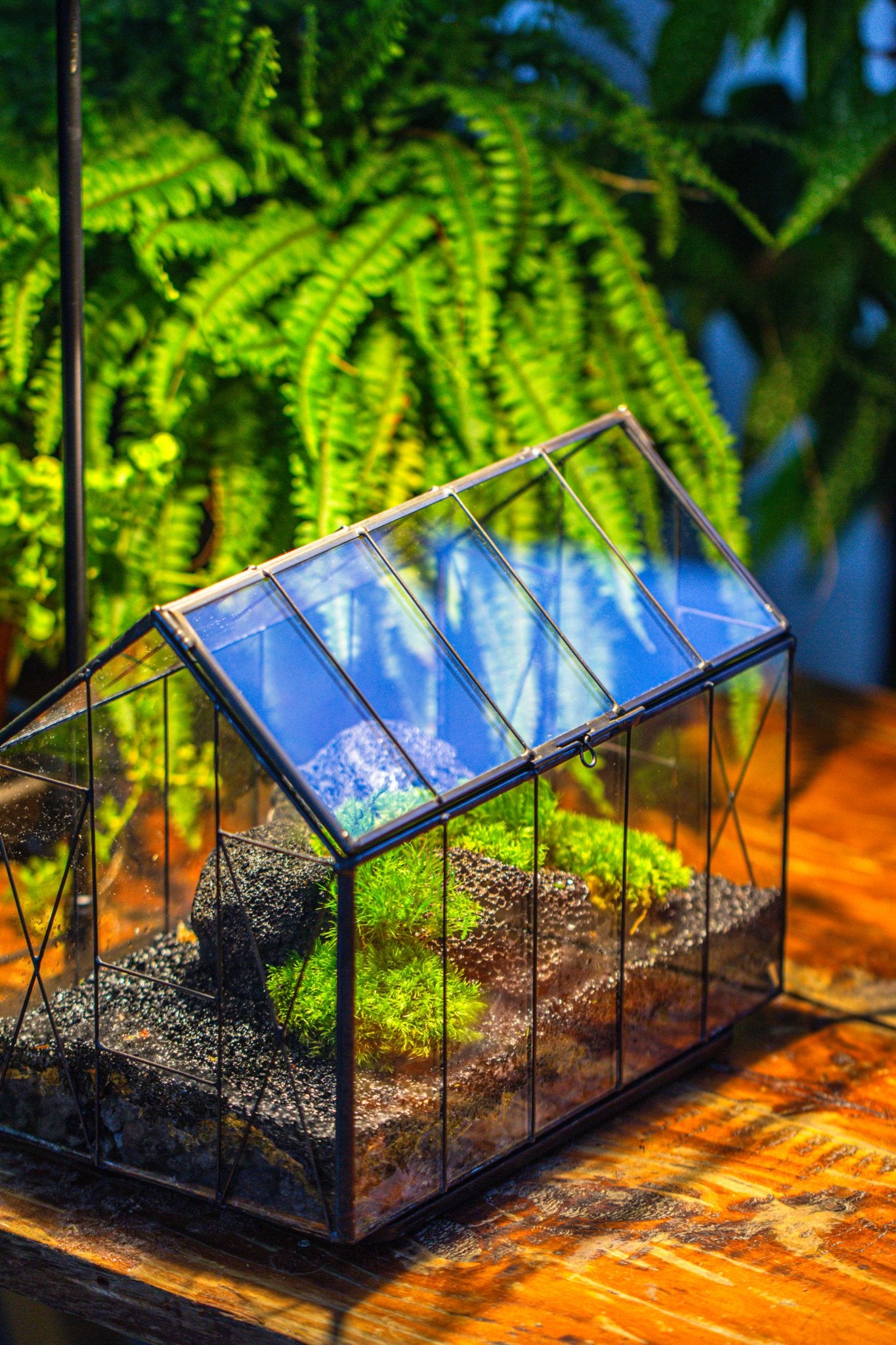 glass house for growing plants Handmade Vintage Greenhouse Inspired Tin Terrarium with LED Grow Light Set