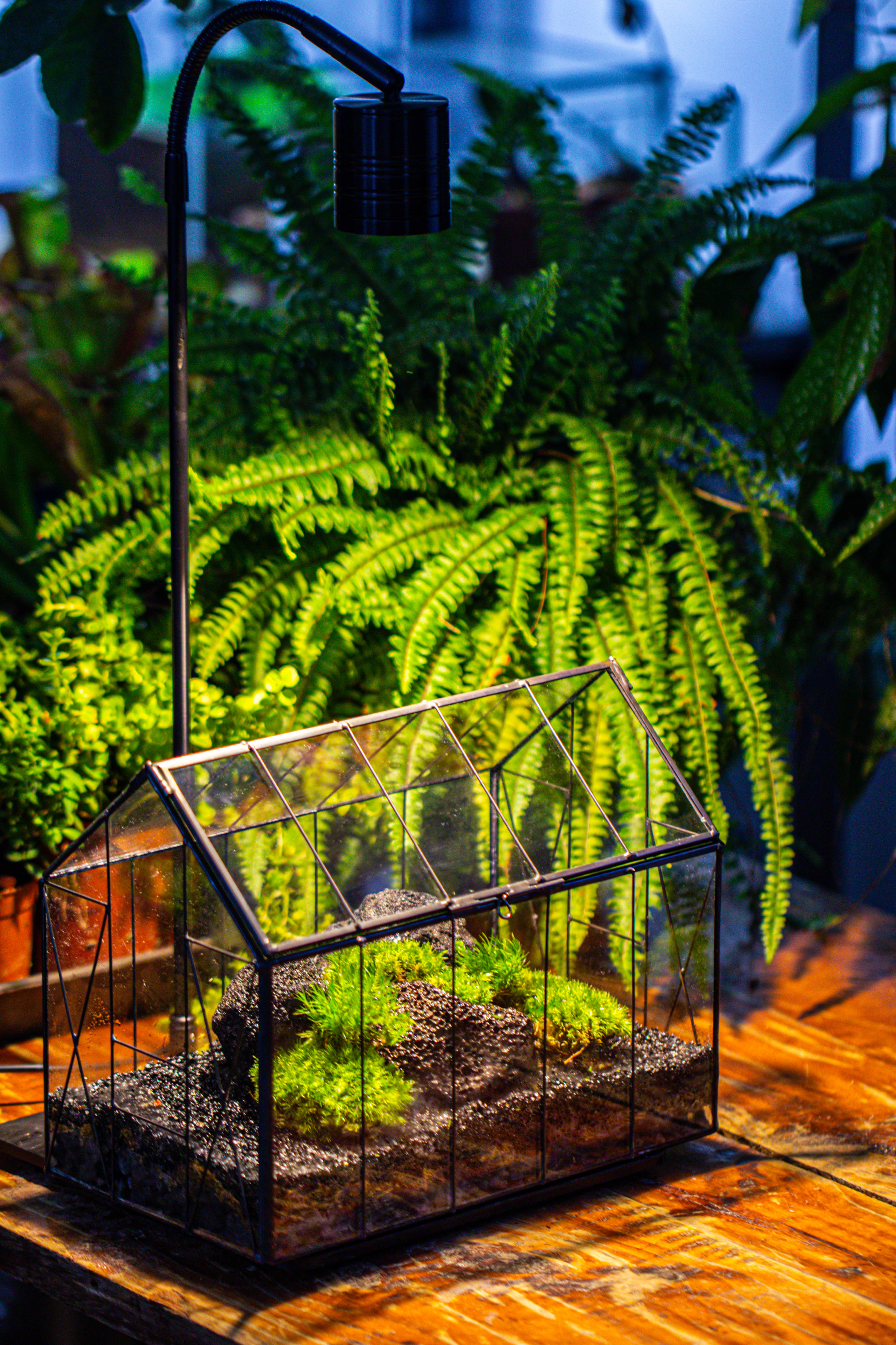 房子上开门 谷仓 黑火山岩 - NCYPgarden