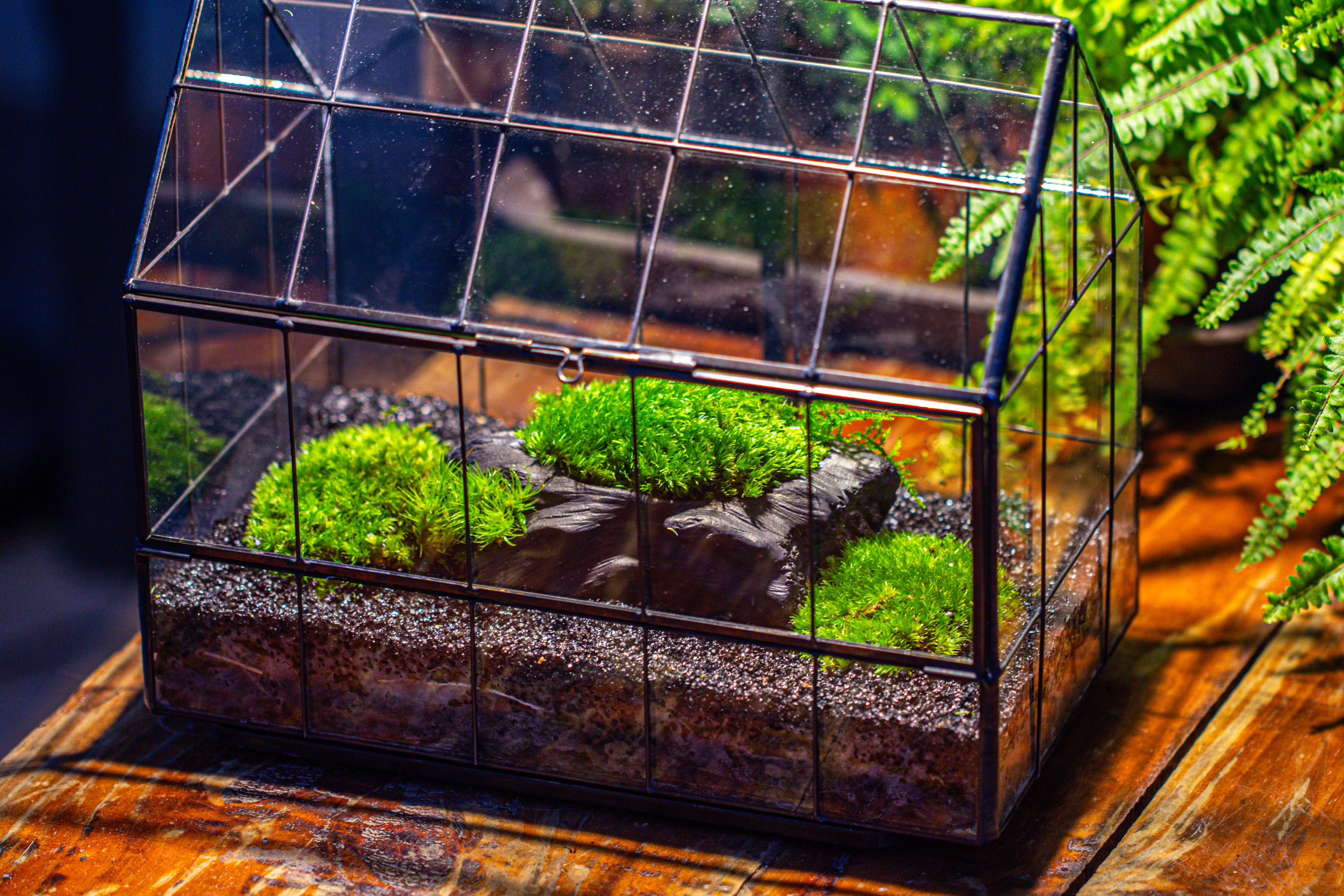 Handmade Glass Terrarium with LED Grow Light Set, Side Door Closed Geometric GreenHouse with Base and Light Set - NCYPgarden